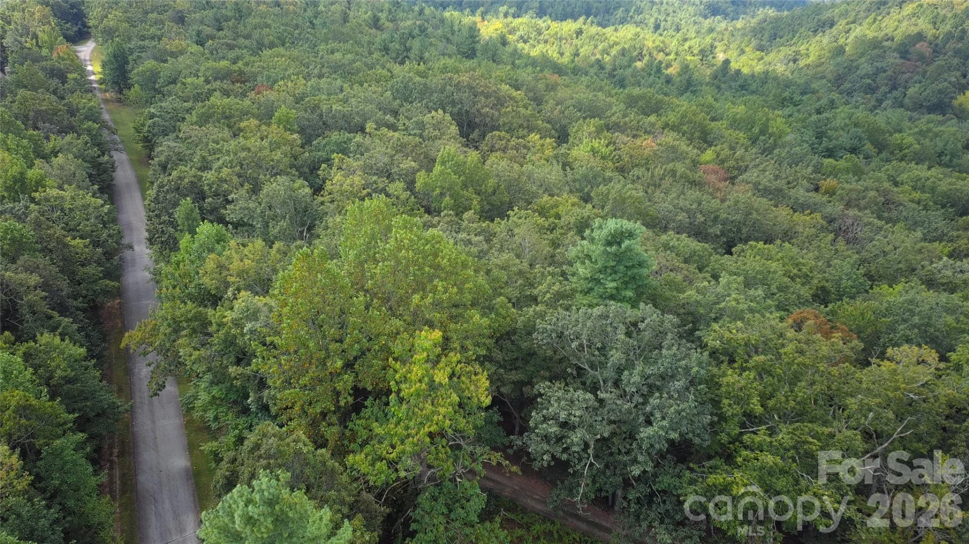 275 Kincaid Place #275 - Photo 19
