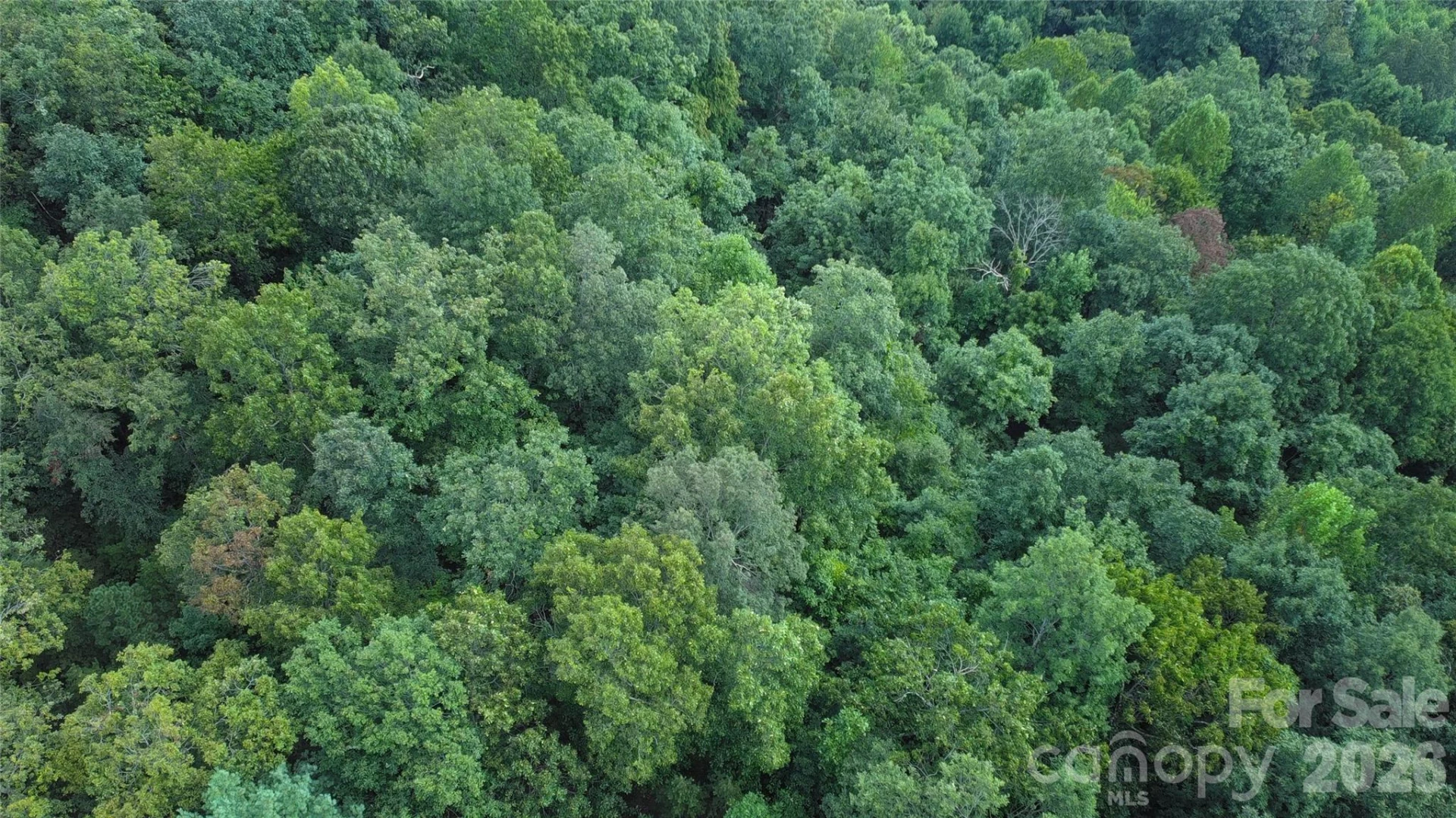 275 Kincaid Place #275 - Photo 22