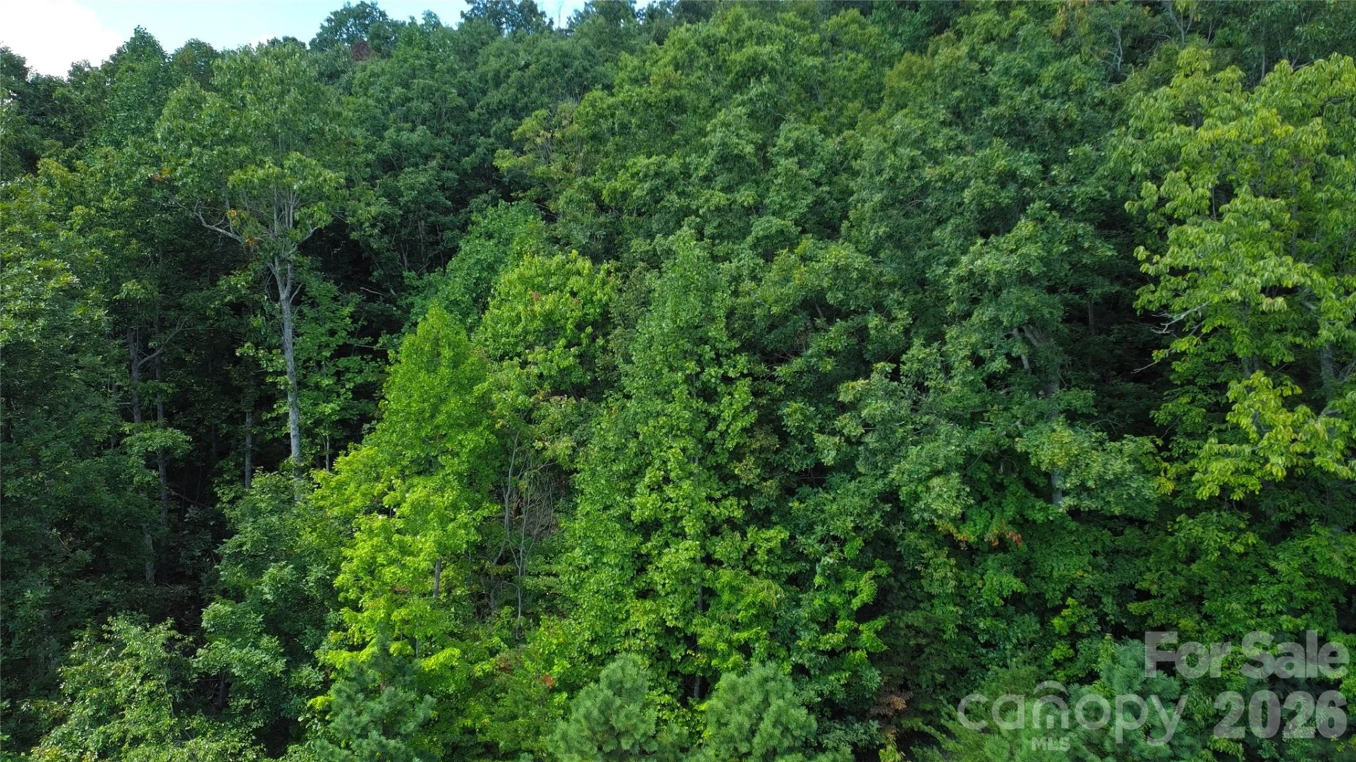 275 Kincaid Place #275 - Photo 23