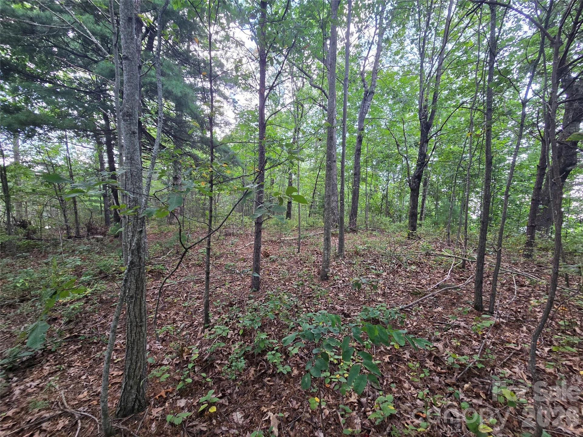 275 Kincaid Place #275 - Photo 24
