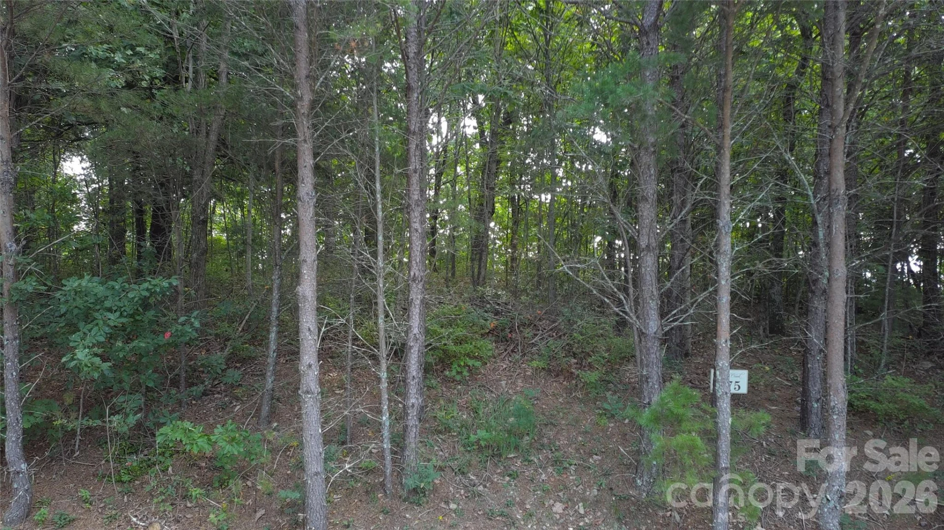 275 Kincaid Place #275 - Photo 26