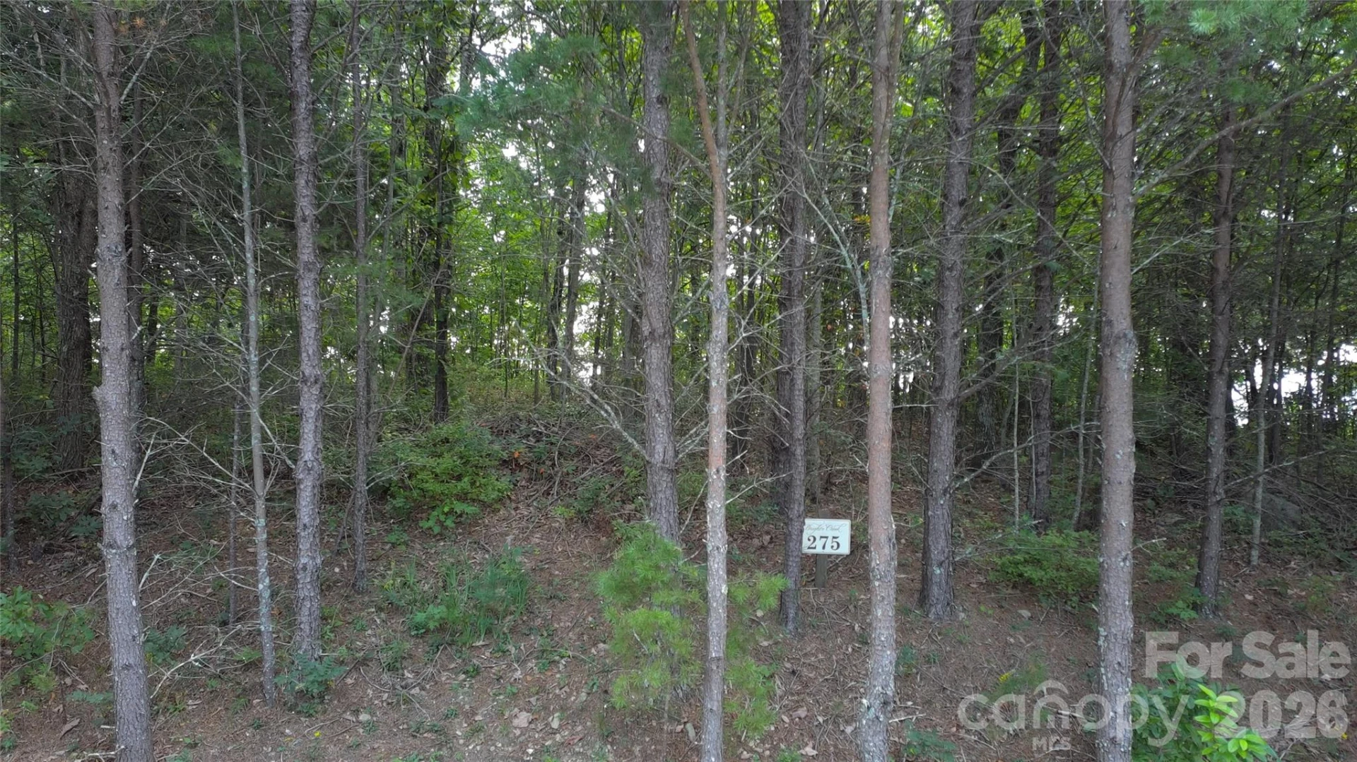 275 Kincaid Place #275 - Photo 27