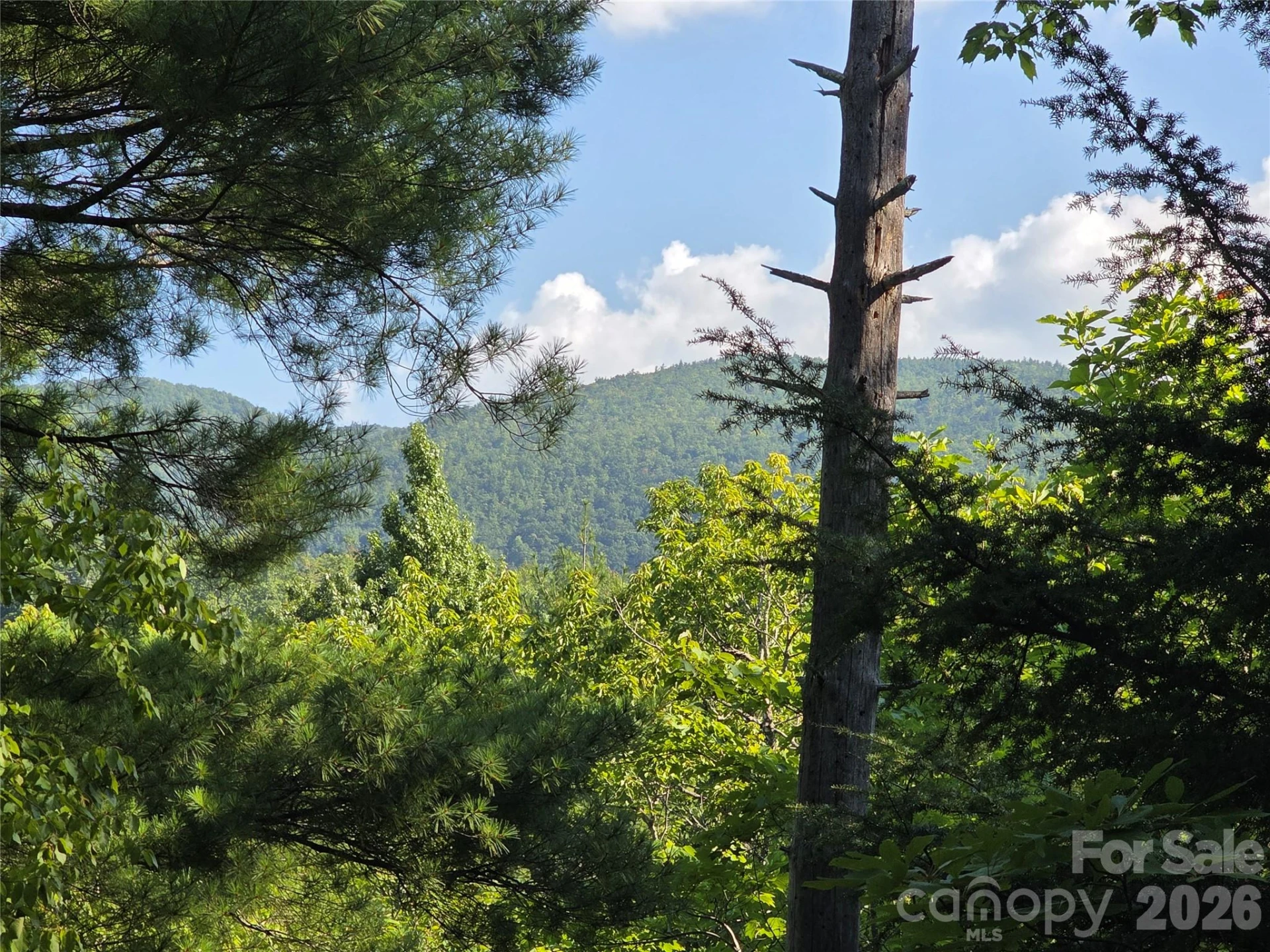 Lot 14B,15B Sequoyah Circle