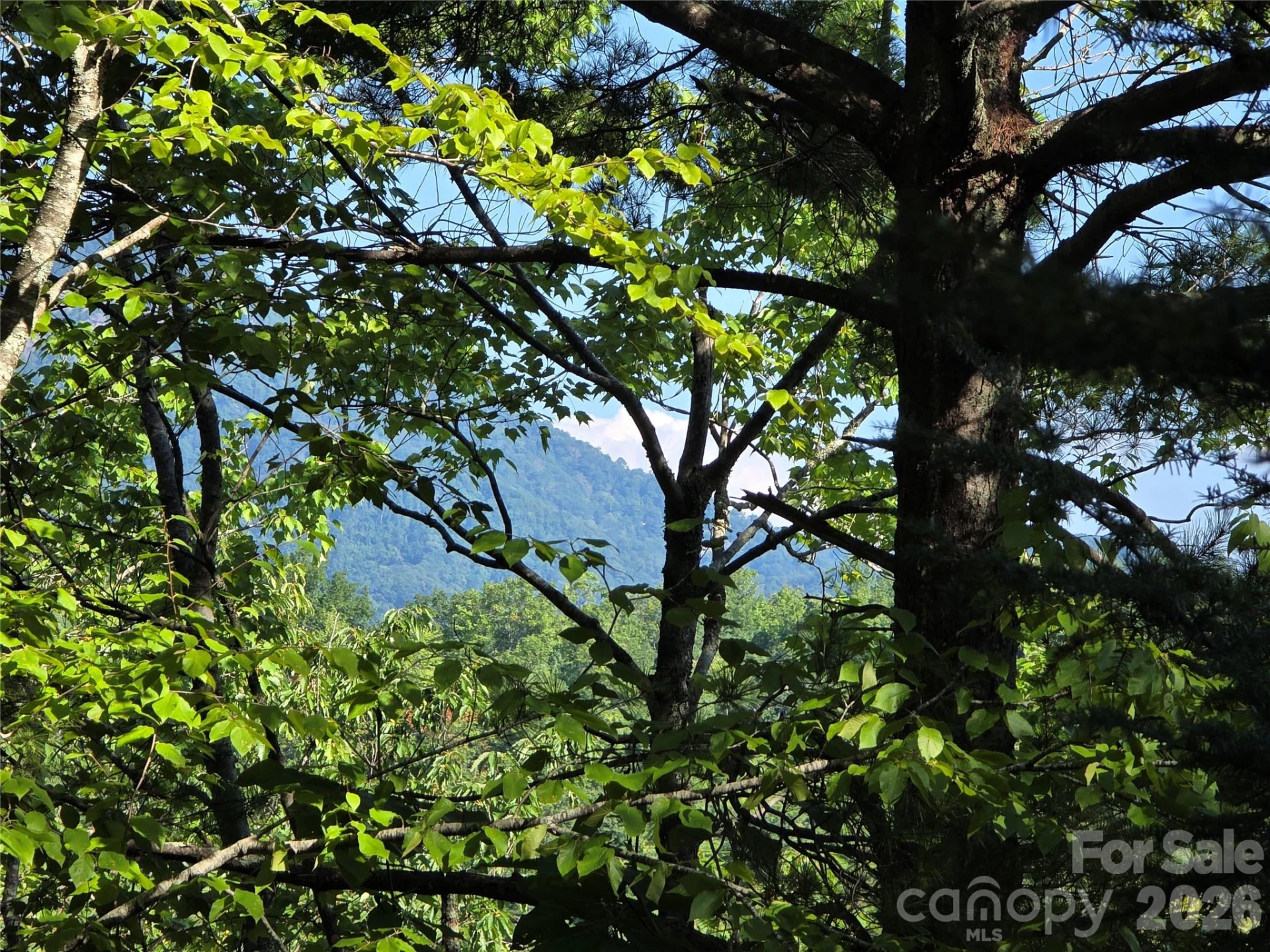 Lot 14B,15B Sequoyah Circle - Photo 3