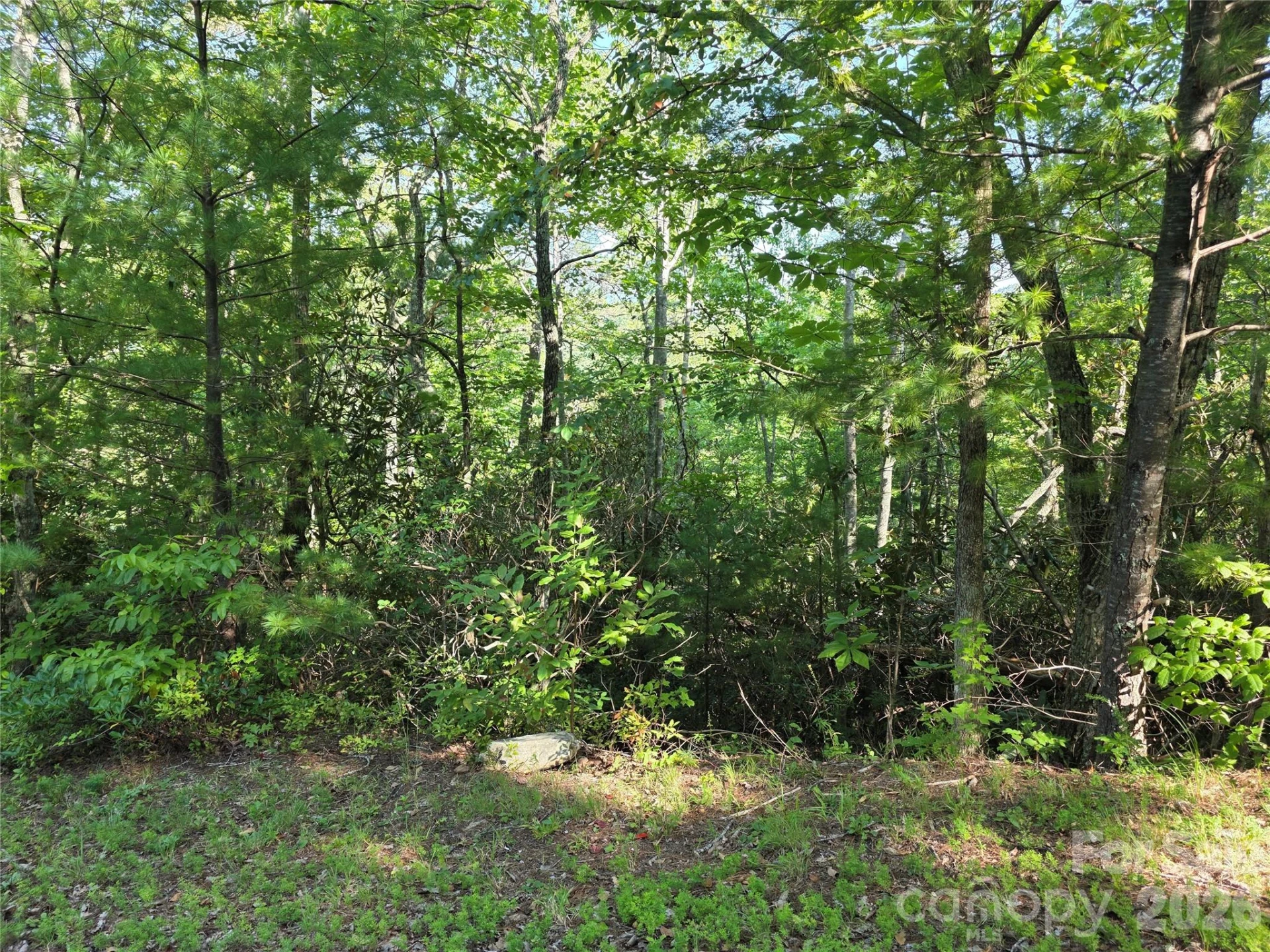 Lot 14B,15B Sequoyah Circle - Photo 4