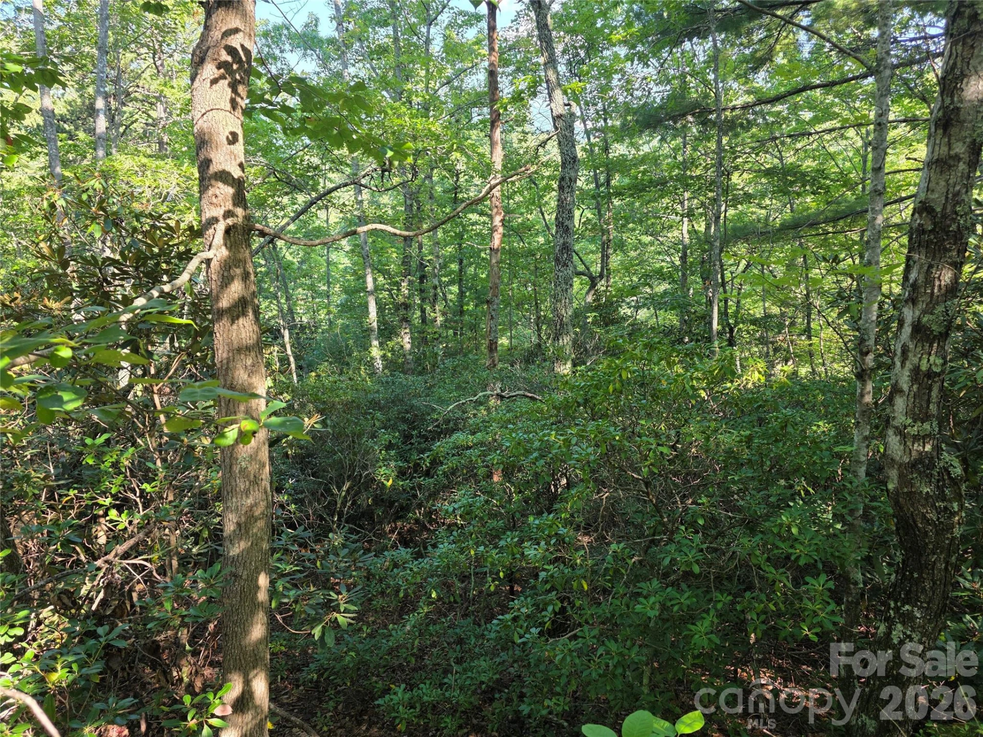 Lot 14B,15B Sequoyah Circle - Photo 6