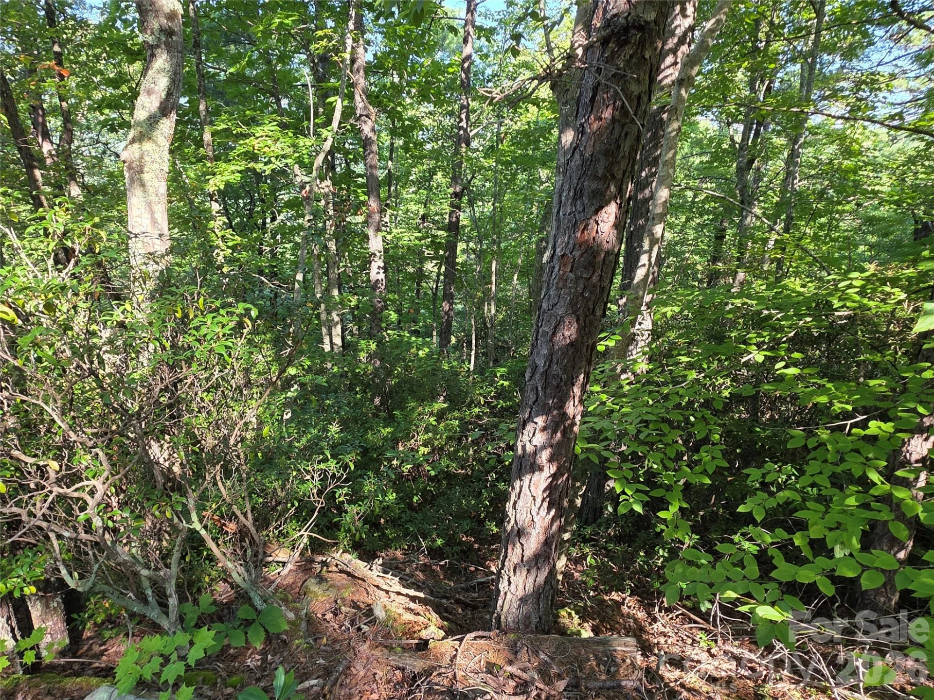 Lot 14B,15B Sequoyah Circle - Photo 8
