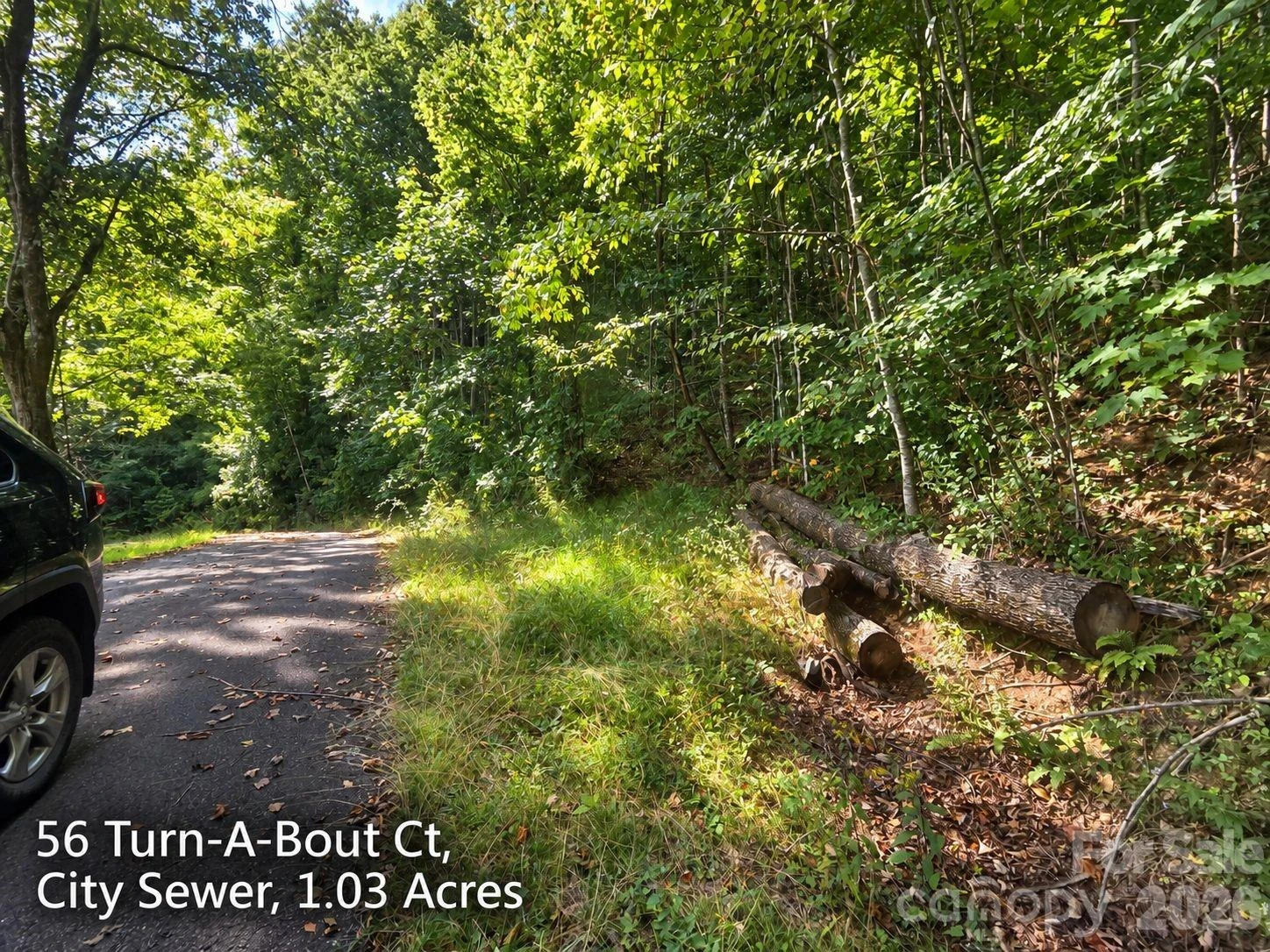 250 & 300 Turn-A-Bout Court - Photo 2