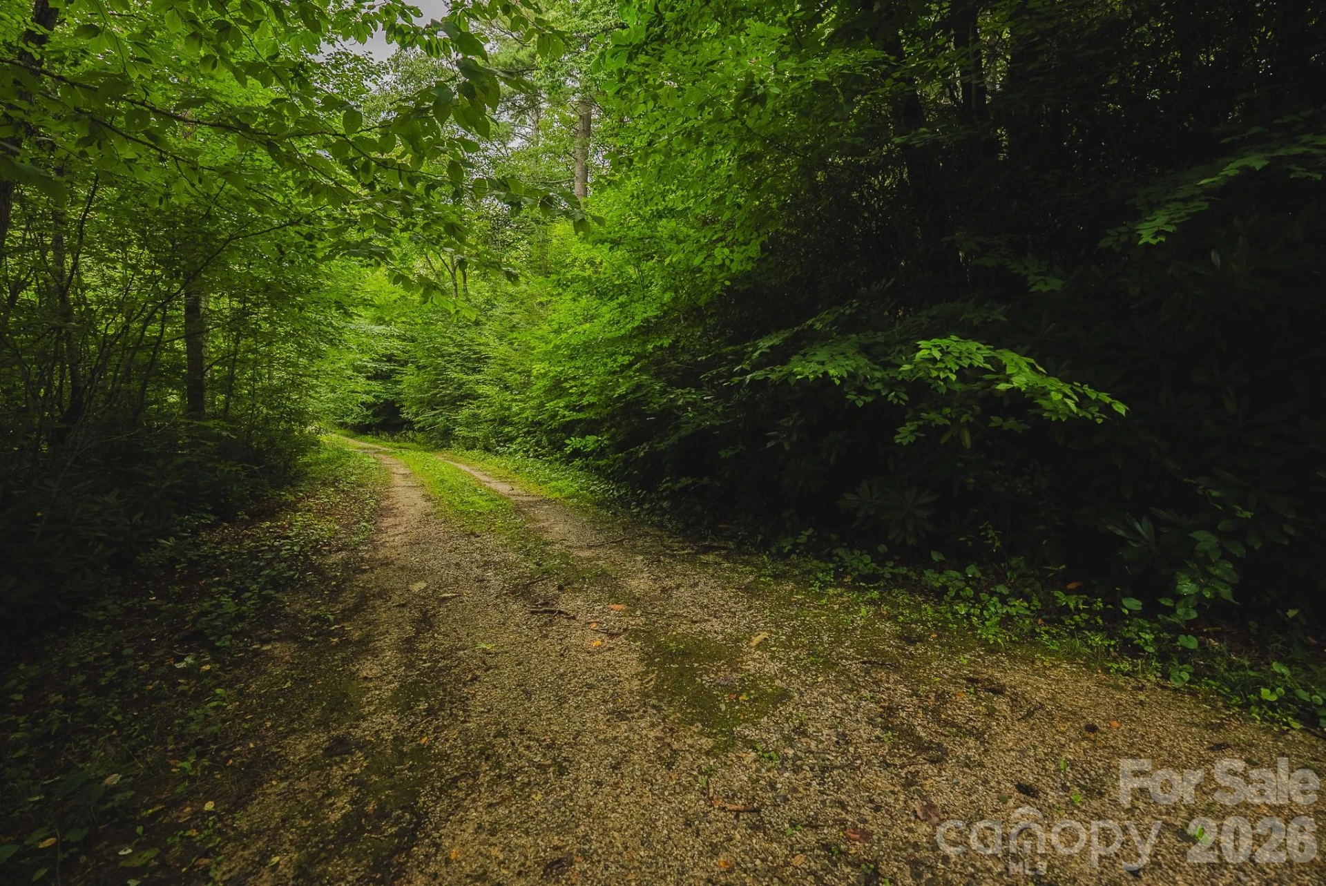 0 Rebel Run - Photo 4