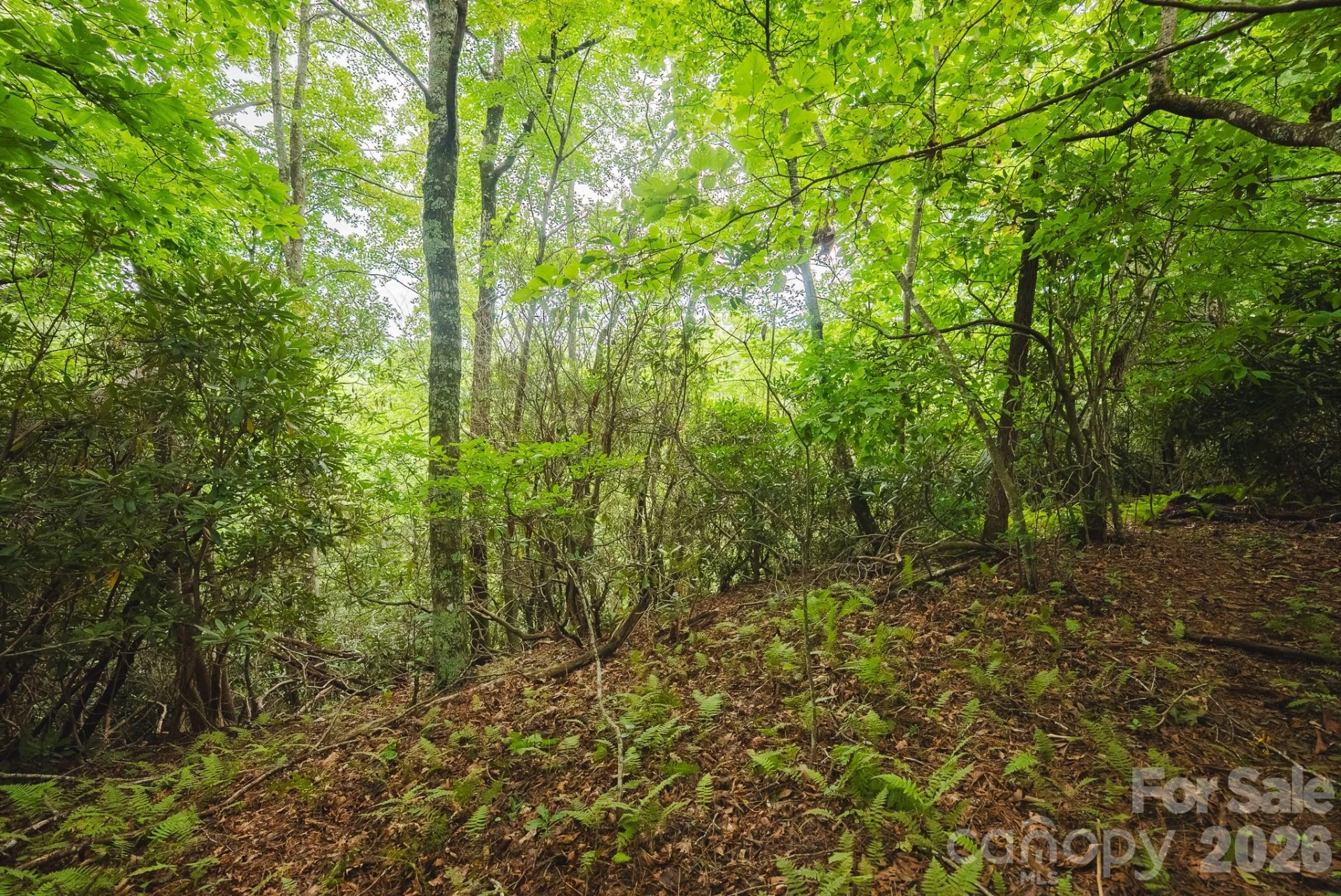 0 Rebel Run - Photo 6