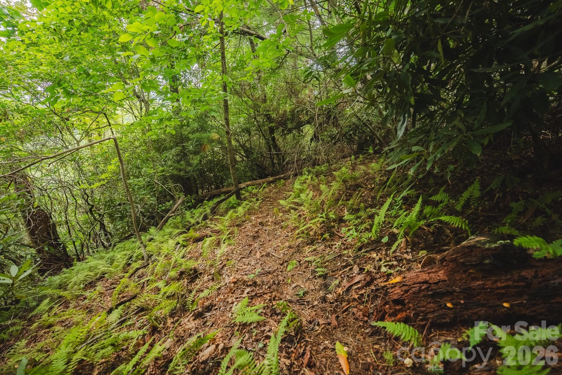 0 Rebel Run - Photo 7