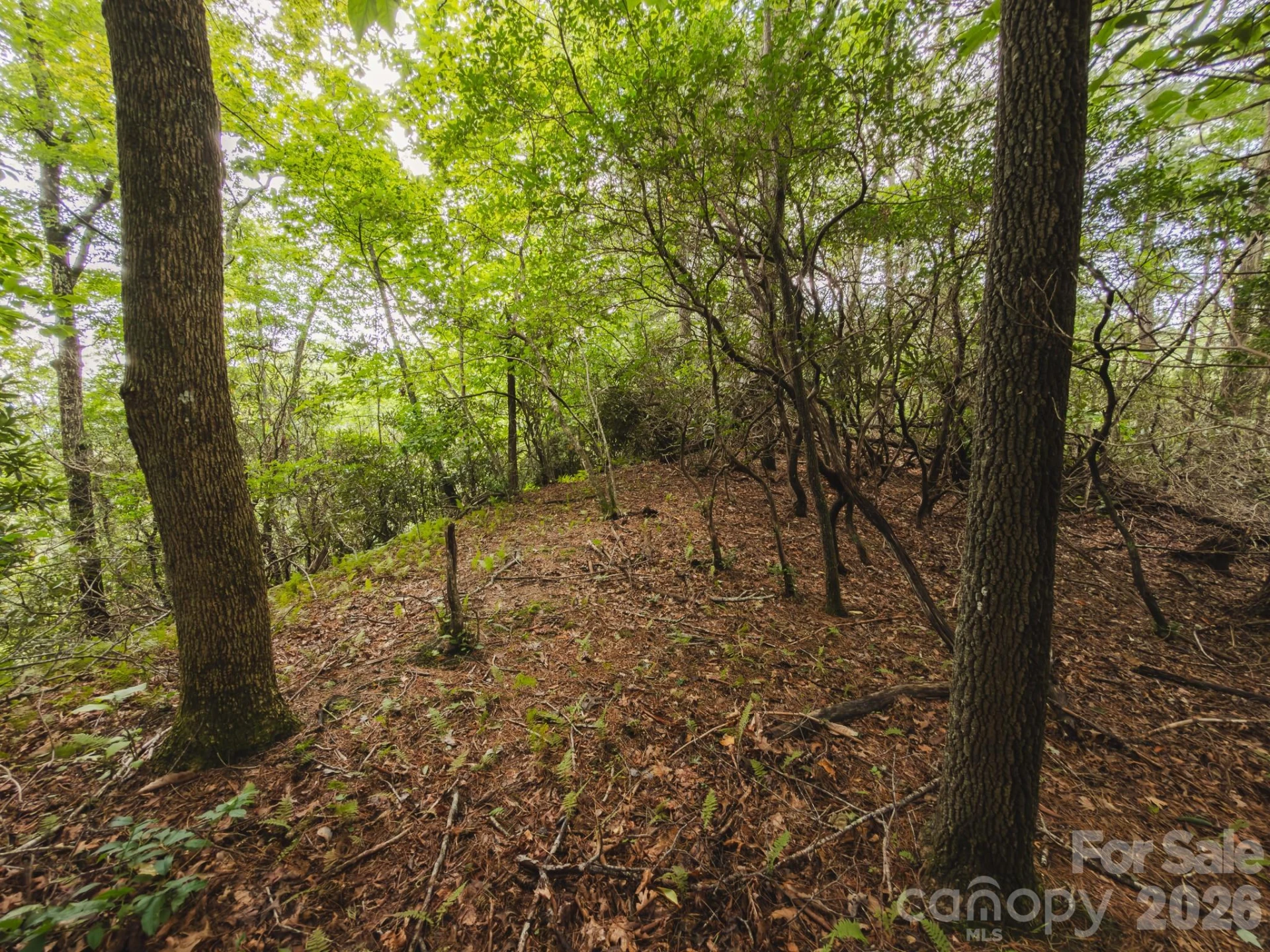 0 Rebel Run - Photo 8