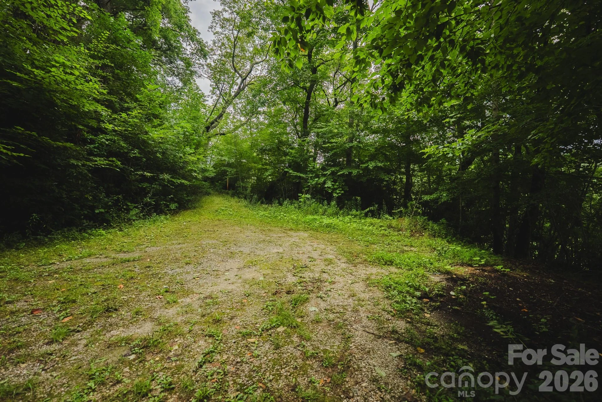 0 Rebel Run - Photo 12