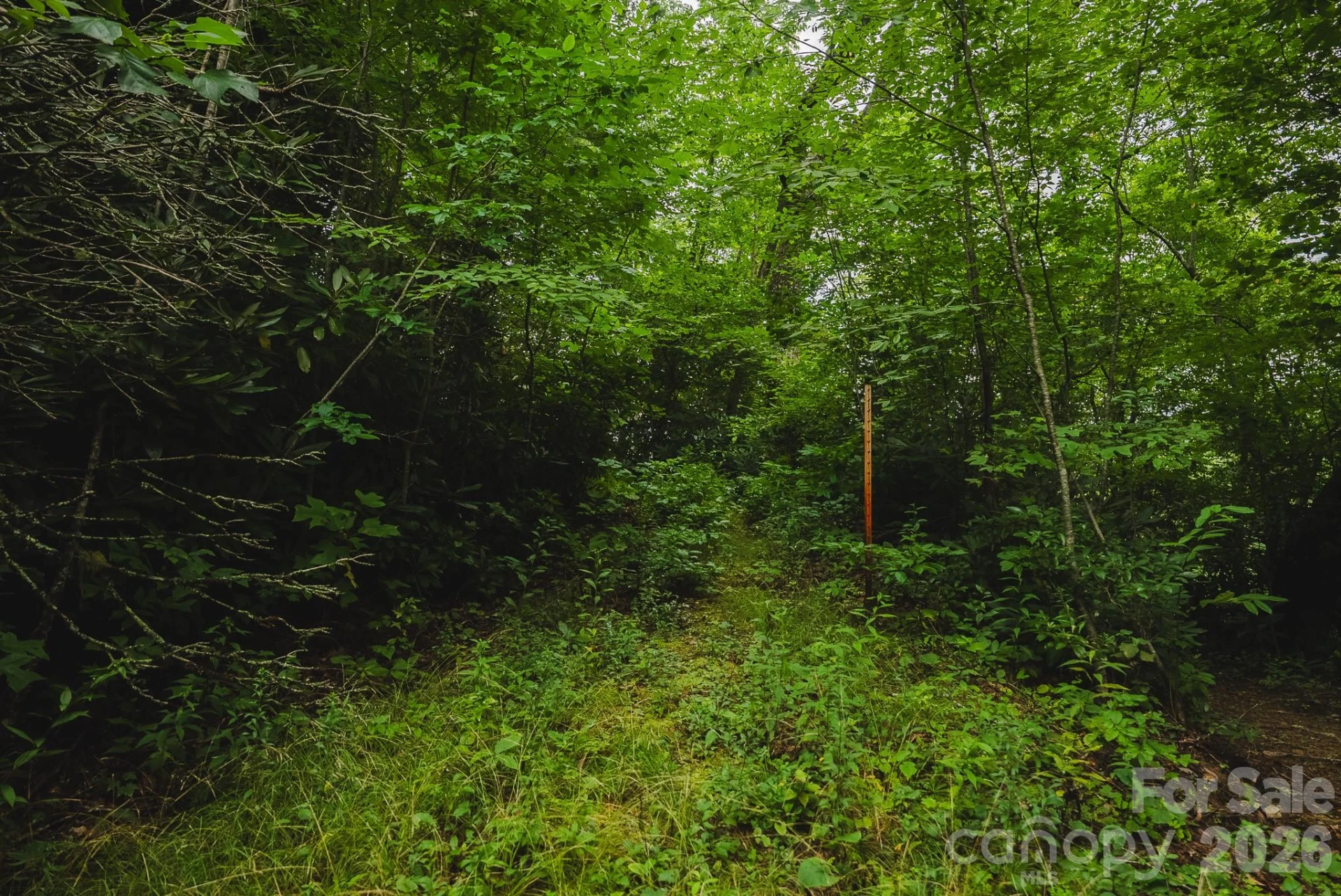 0 Rebel Run - Photo 13