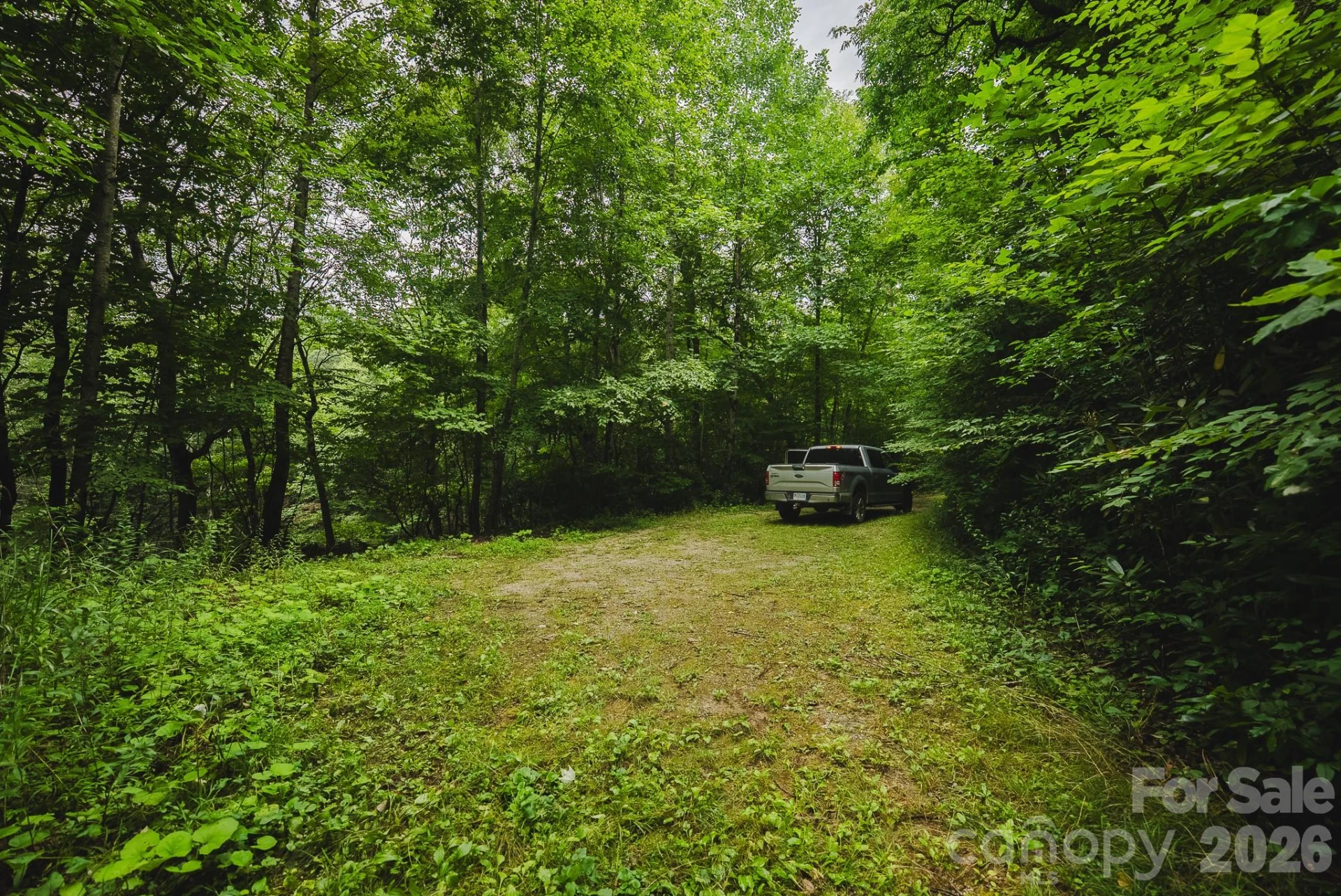 0 Rebel Run - Photo 14
