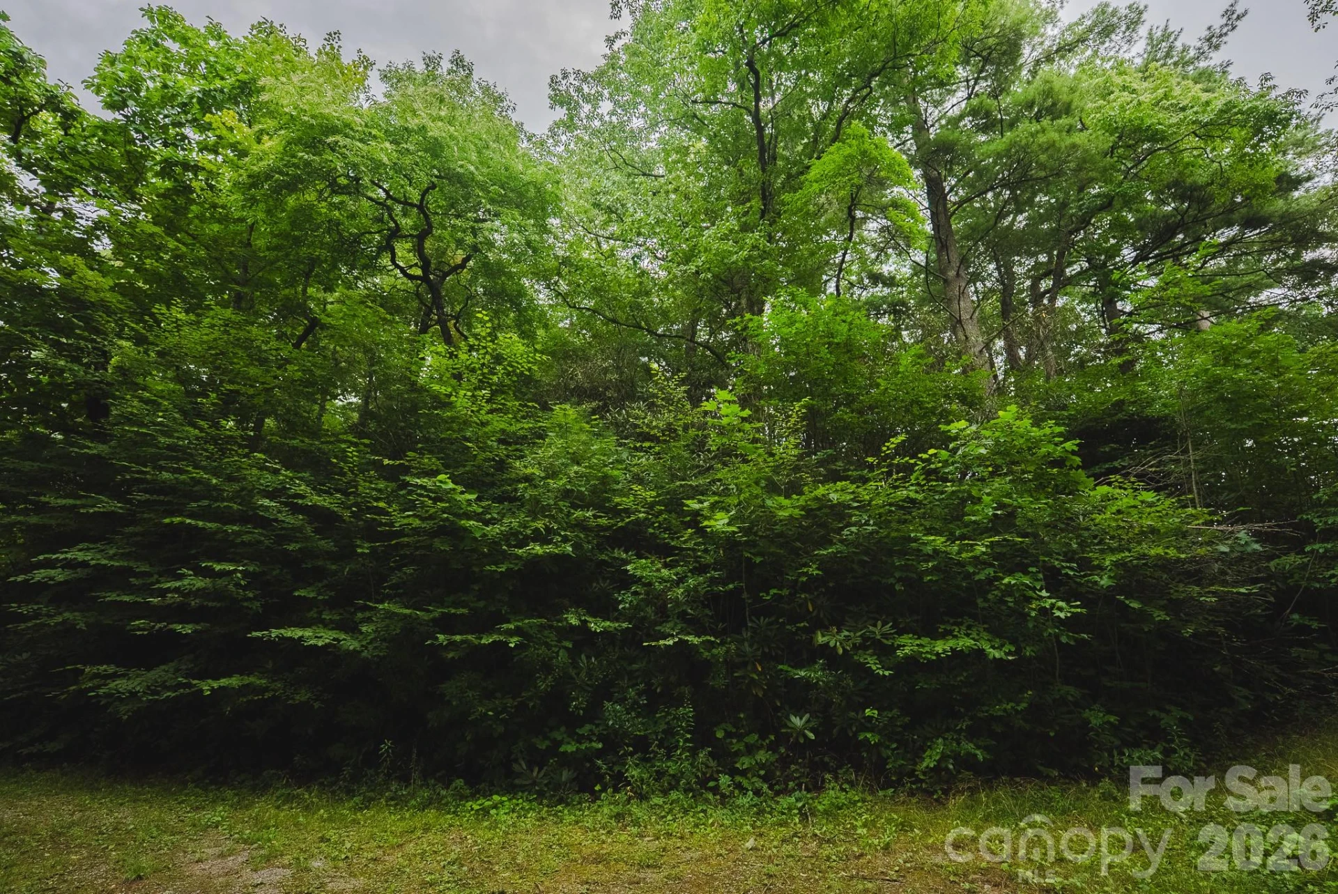 0 Rebel Run - Photo 15