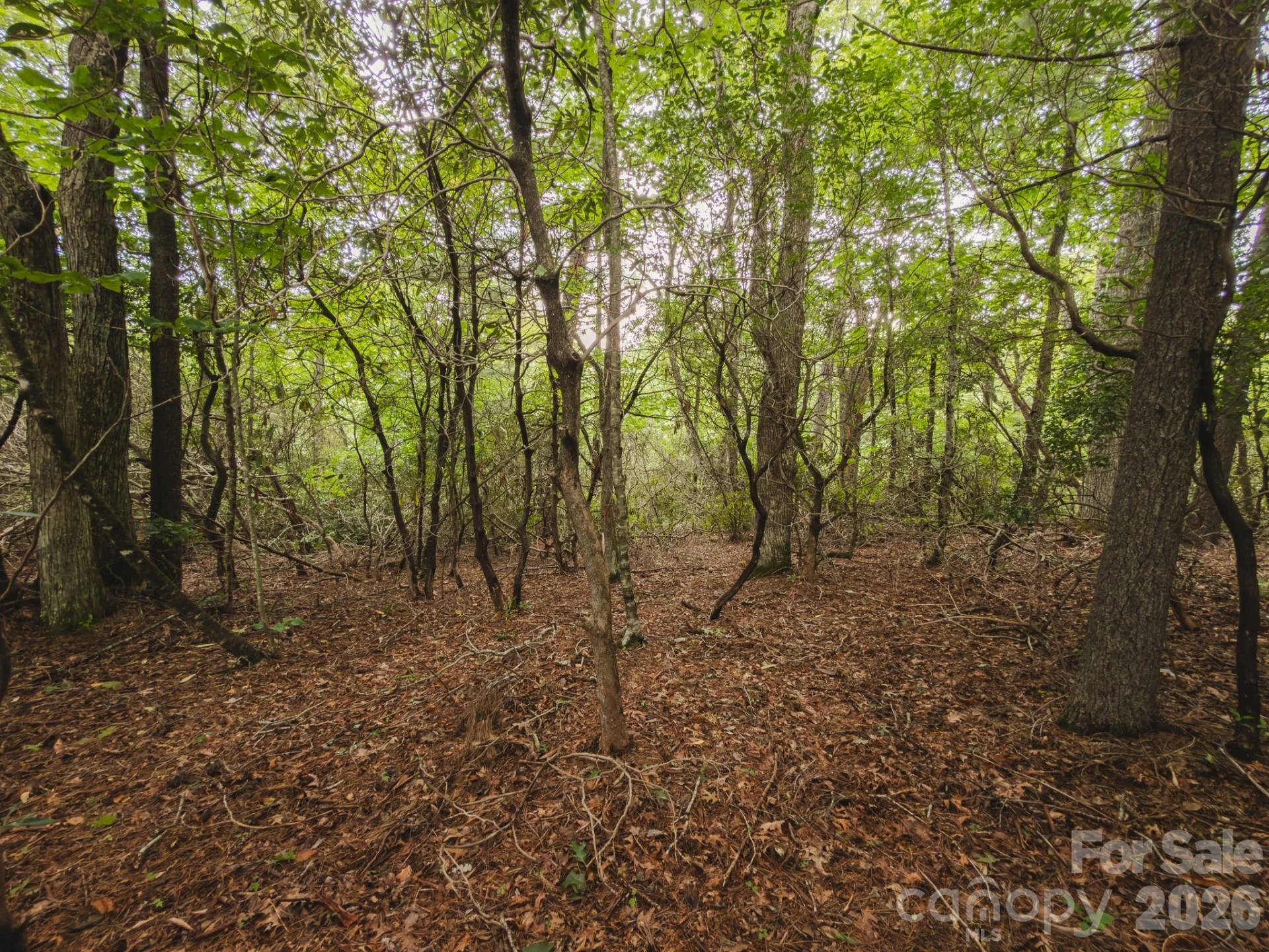 0 Rebel Run - Photo 22