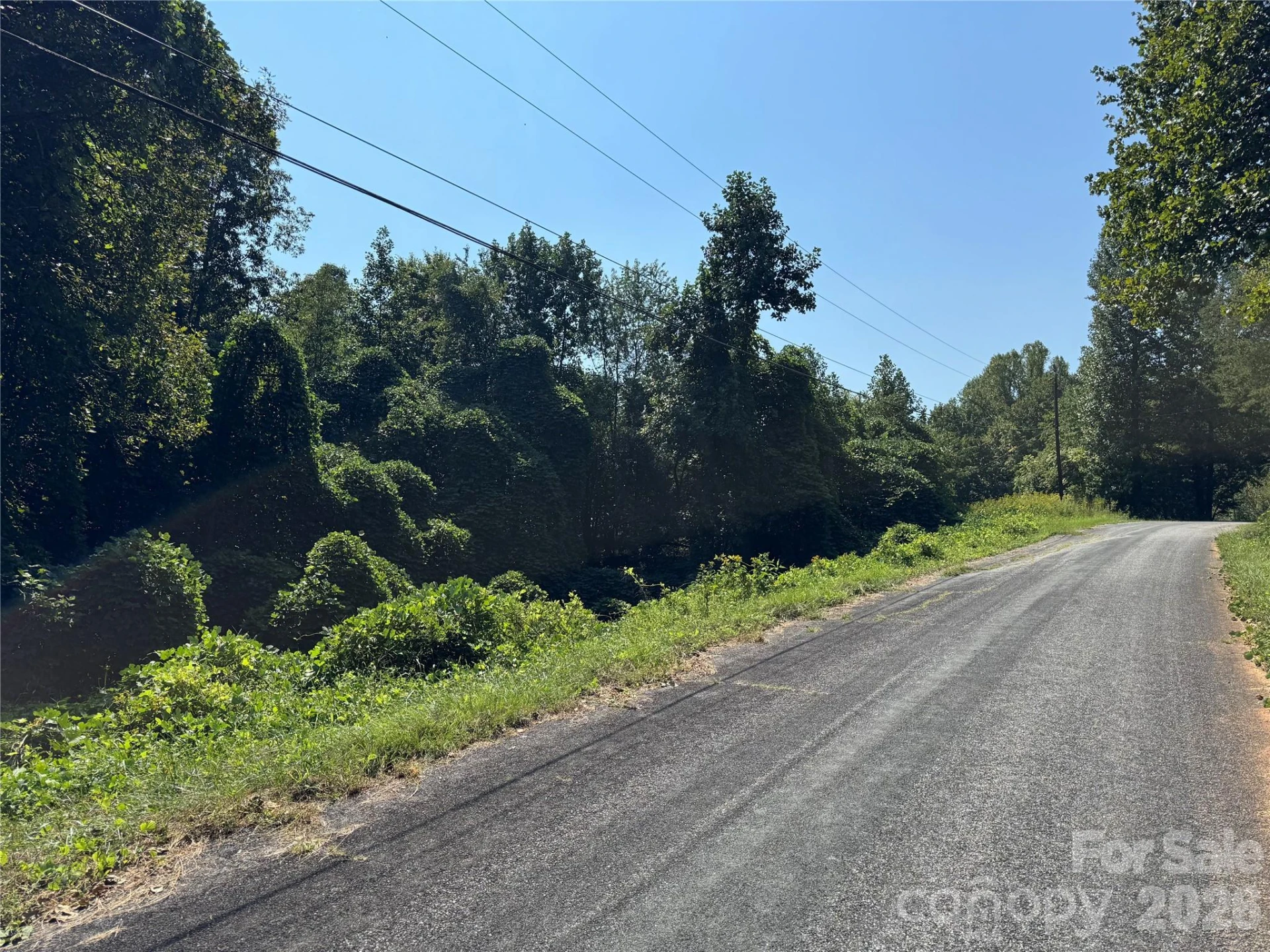 V/L Boyd Road - Photo 2