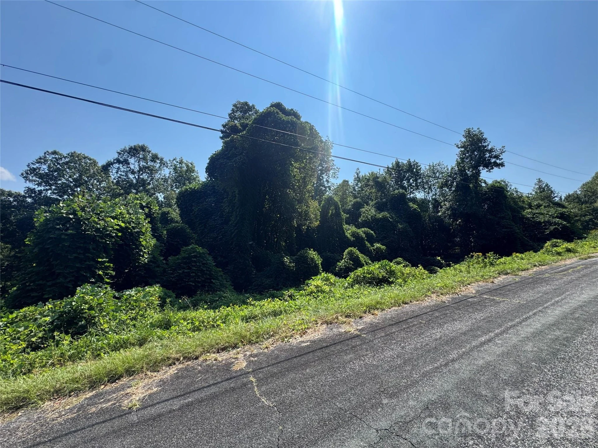 V/L Boyd Road - Photo 3