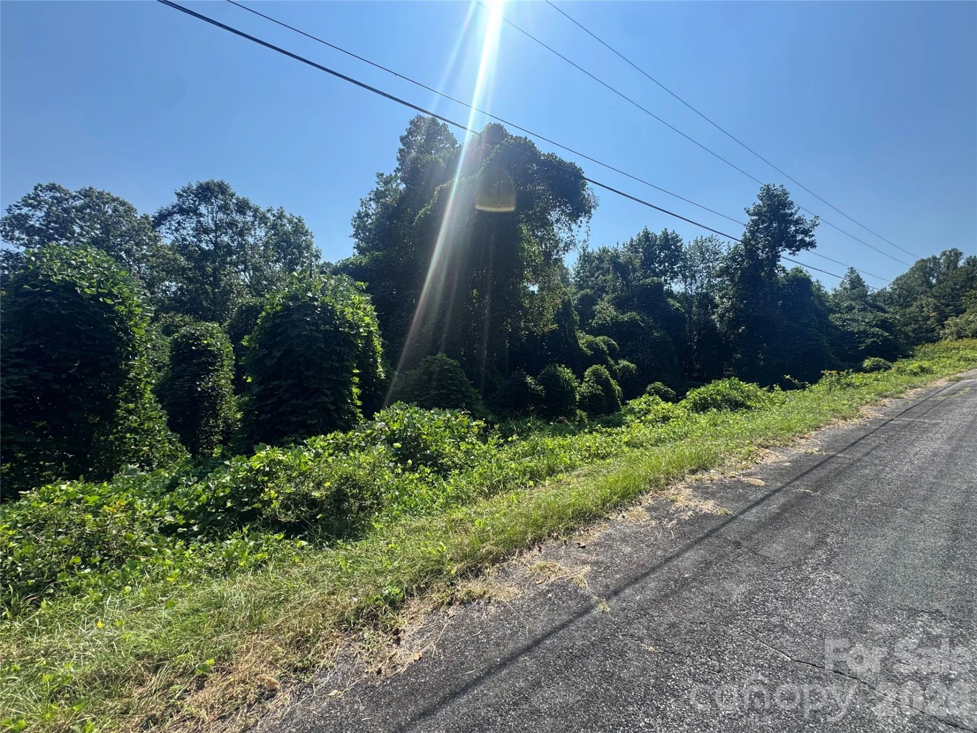 V/L Boyd Road - Photo 4