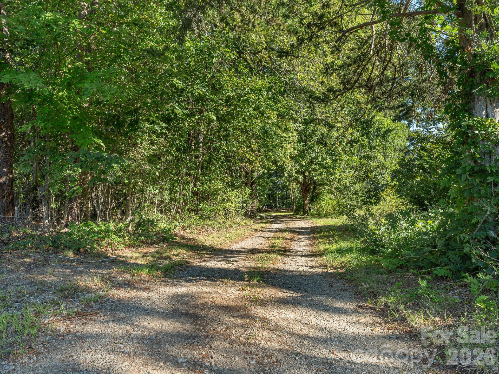 189 ODonald Road #Lot 3 - Photo 10