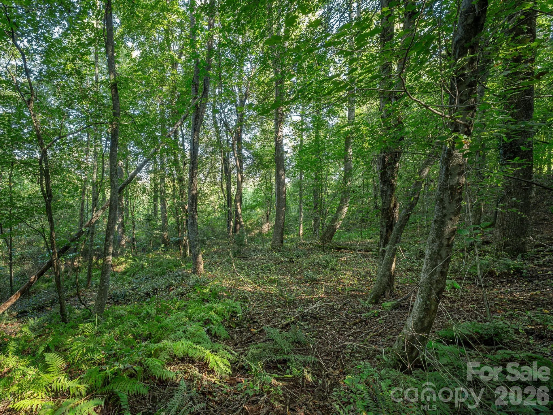 189 ODonald Road #Lot 3 - Photo 12