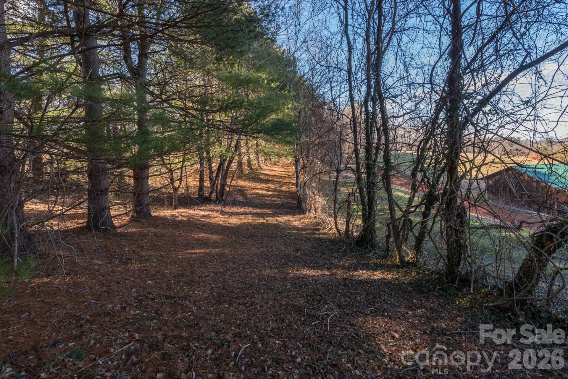99999 Sunnyview Terrace #A - Photo 7