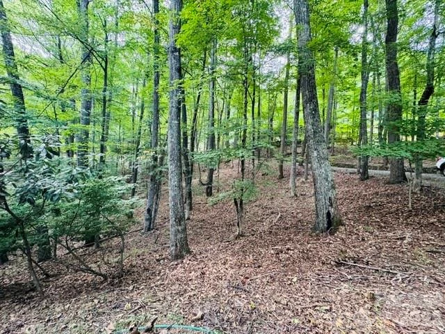 624 Fox Den Road - Photo 3