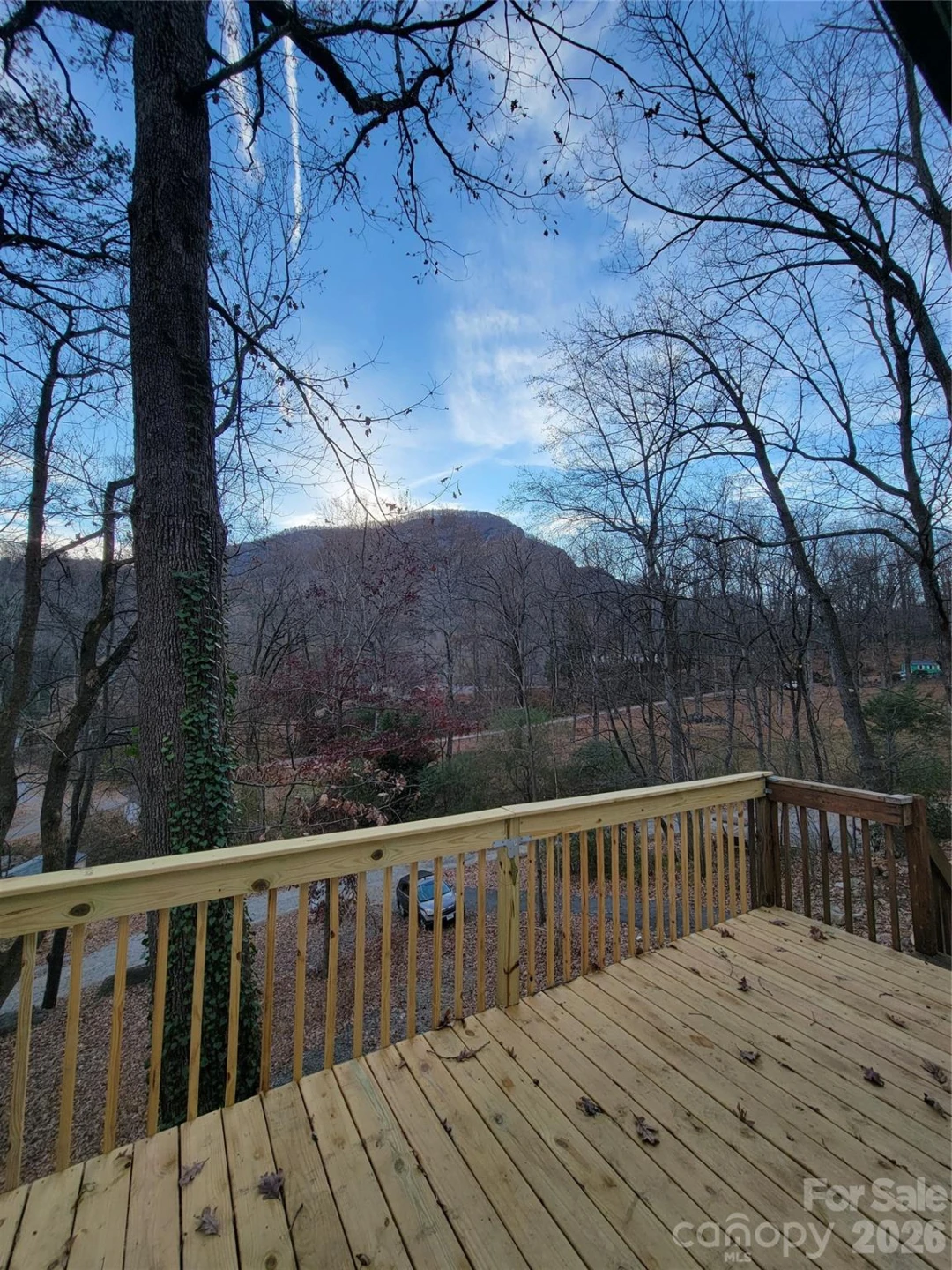 138 Buddy Lane - Photo 5