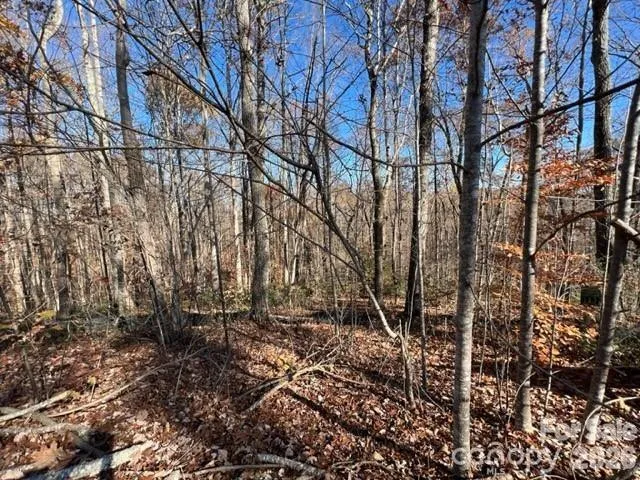 TBD Trail Ridge Drive, Marion, NC, 28752