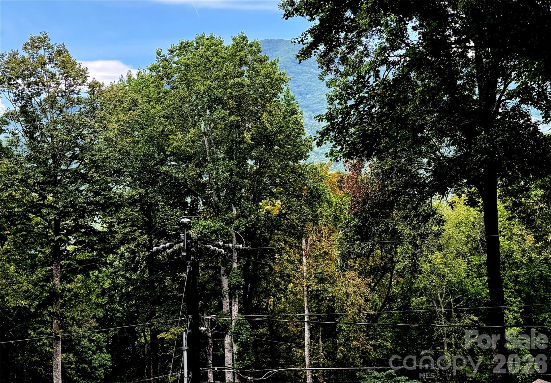 230 Forest Drive - Photo 8