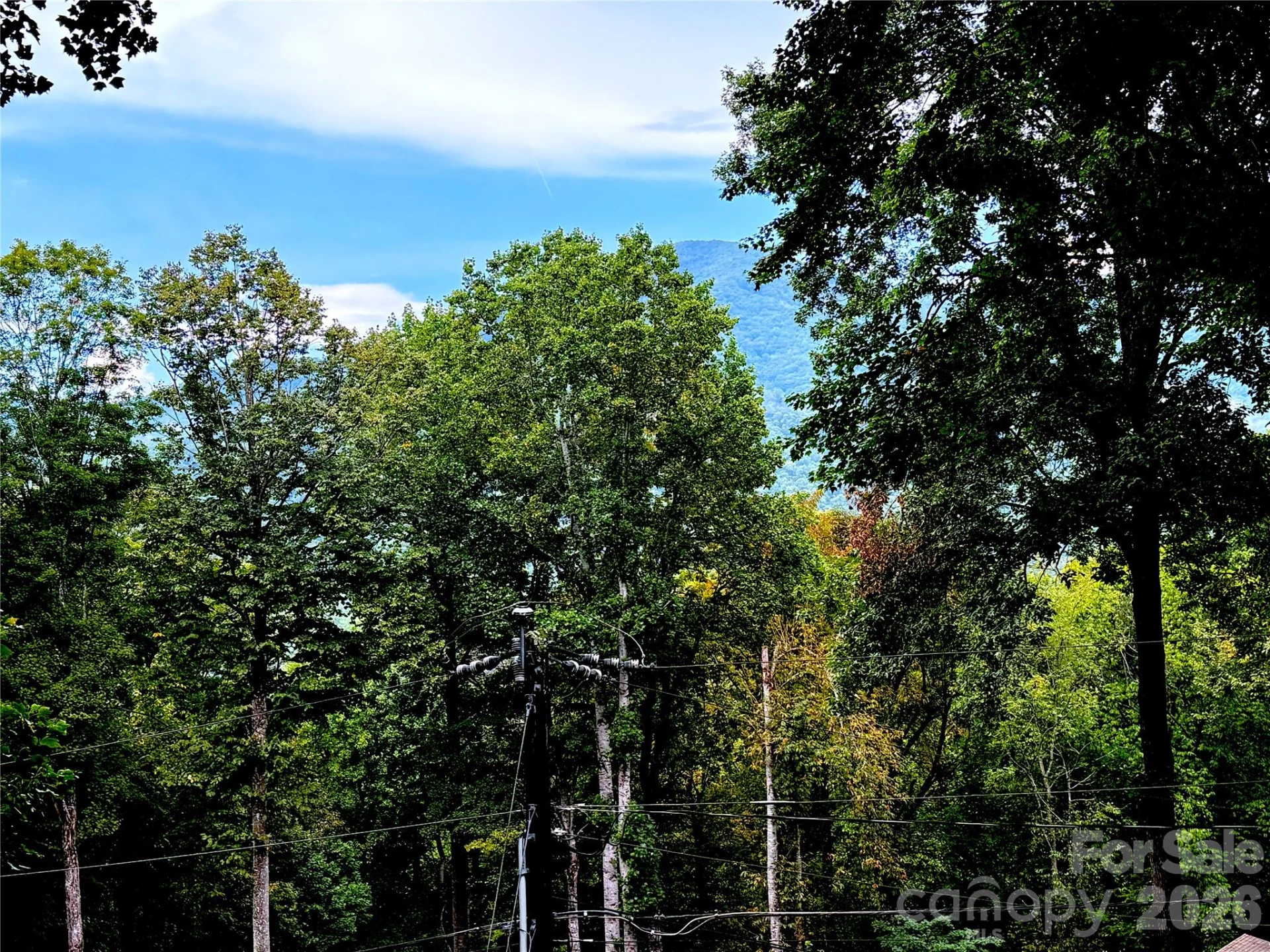 230 Forest Drive - Photo 44