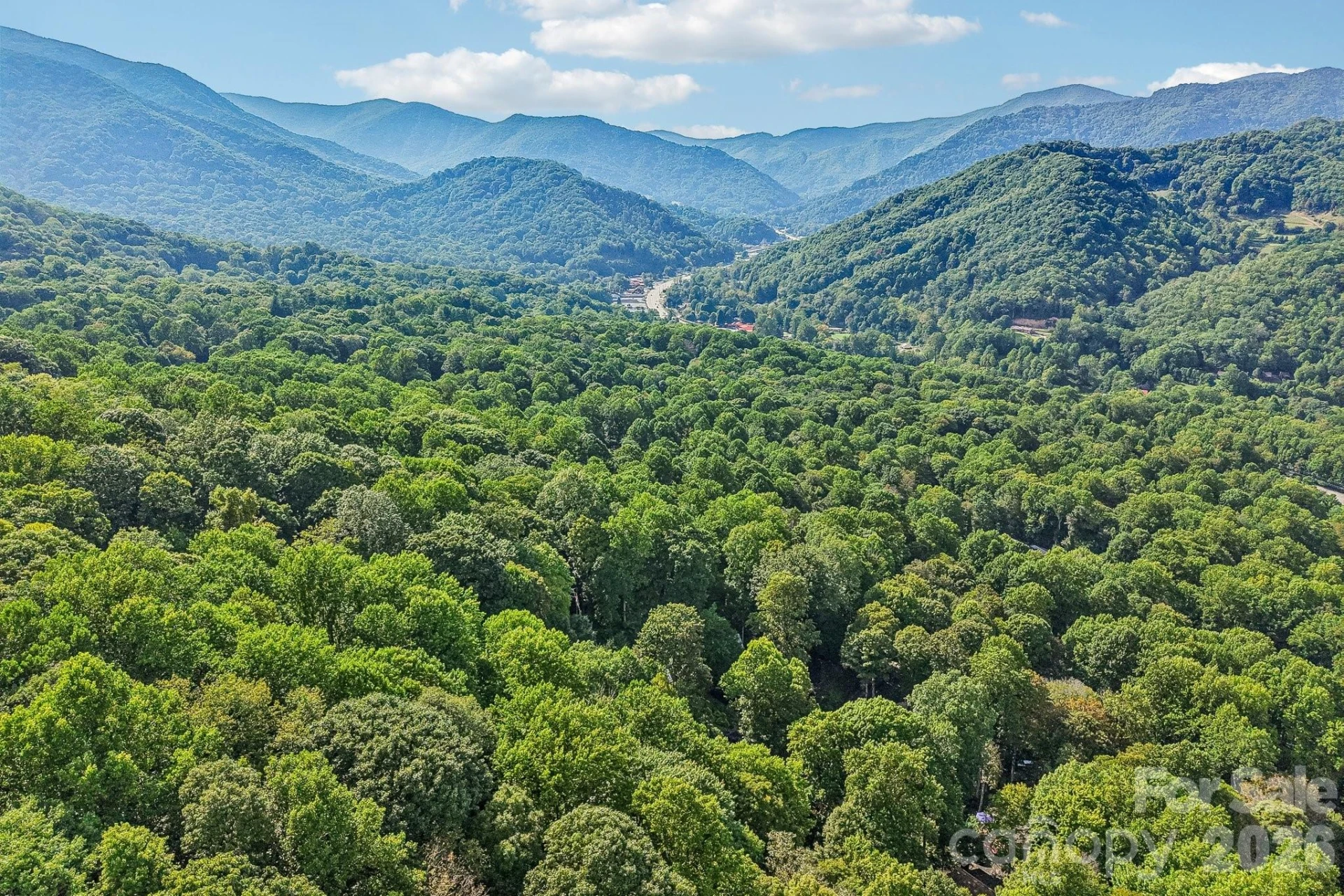 230 Forest Drive - Photo 48