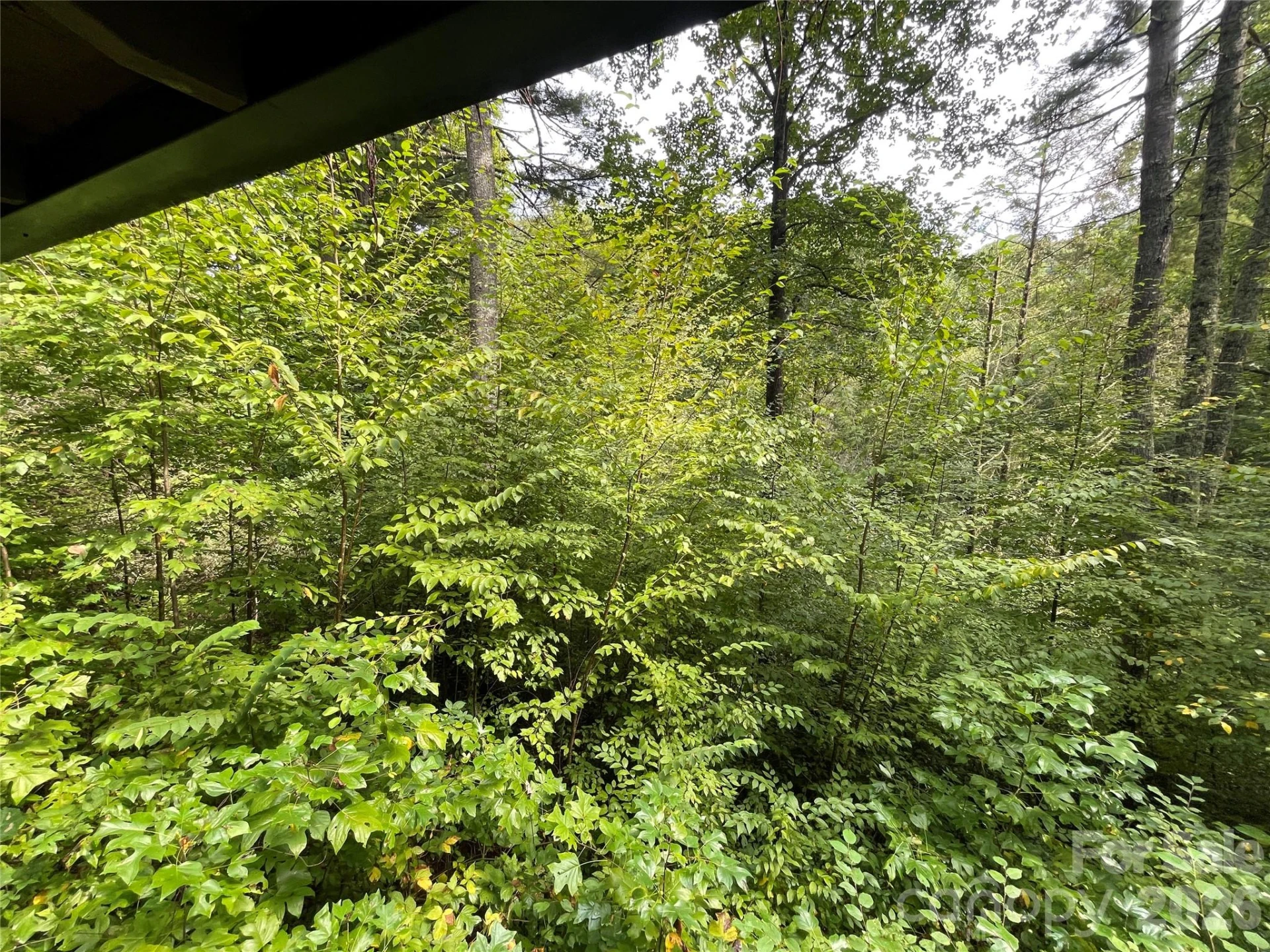 100 Creek Bend Road - Photo 13