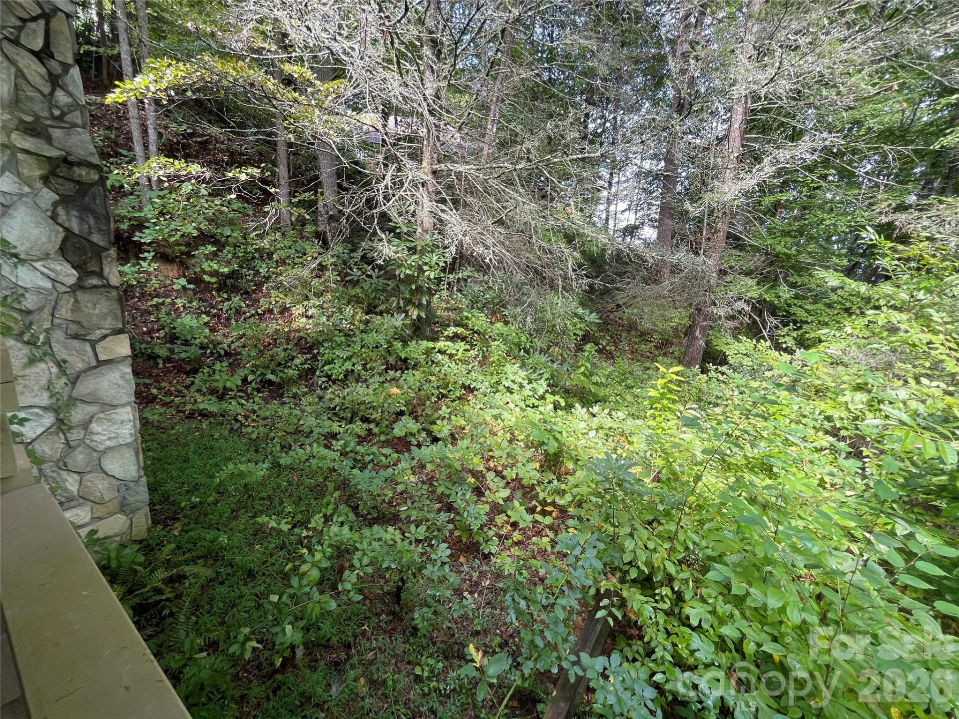 100 Creek Bend Road - Photo 14