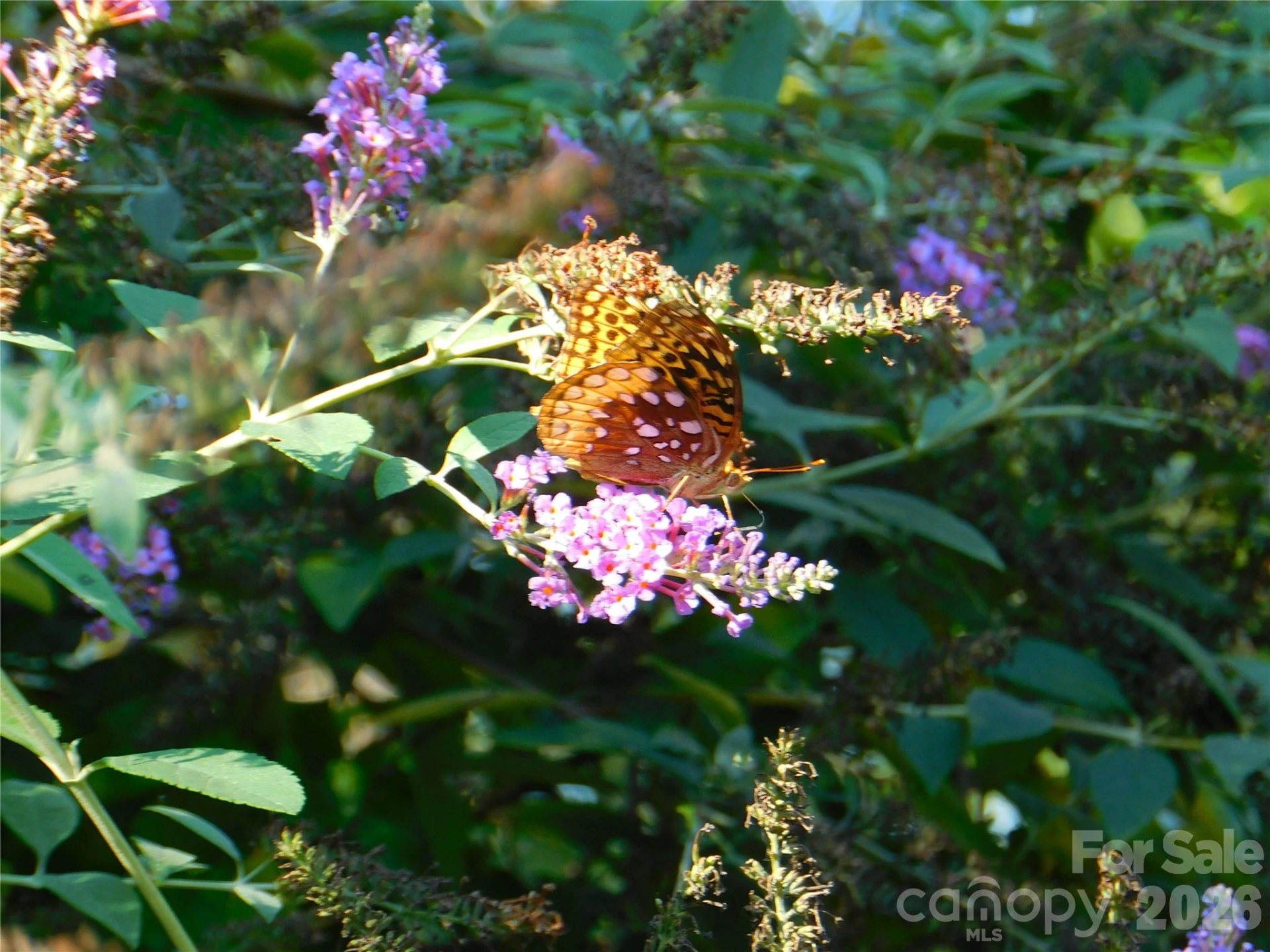 296 Acorn Lane - Photo 35