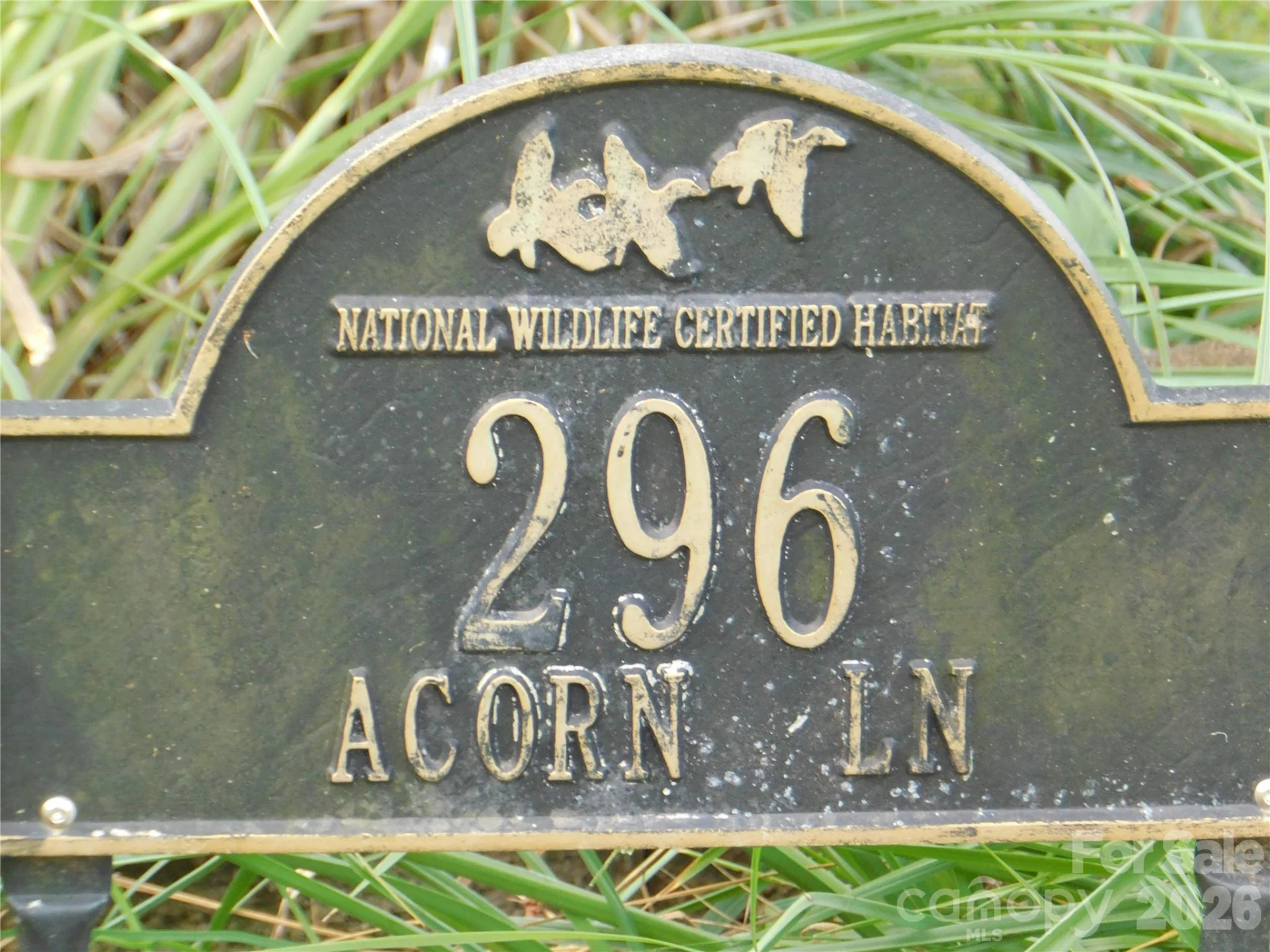 296 Acorn Lane - Photo 46