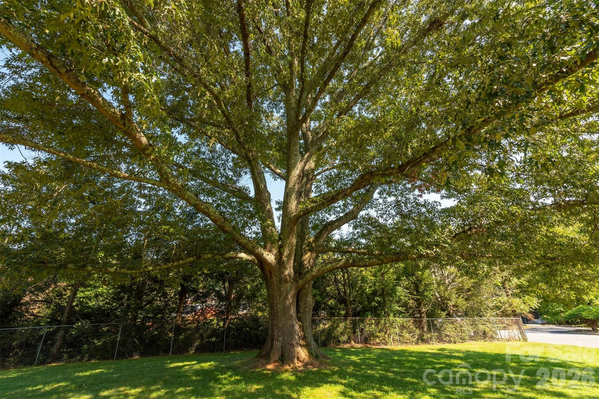 127 College Circle - Photo 41