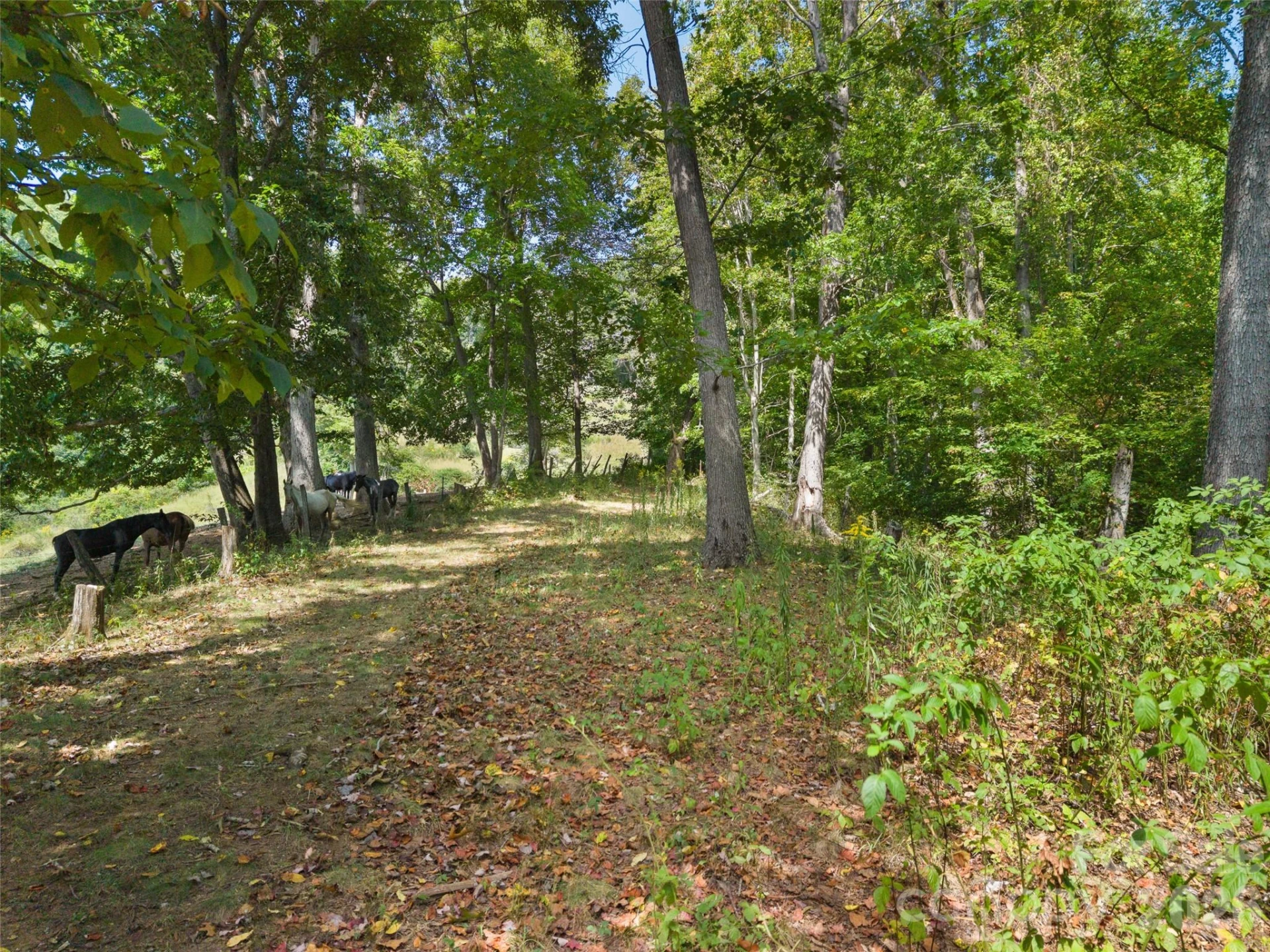 641 Scruggs Circle - Photo 41