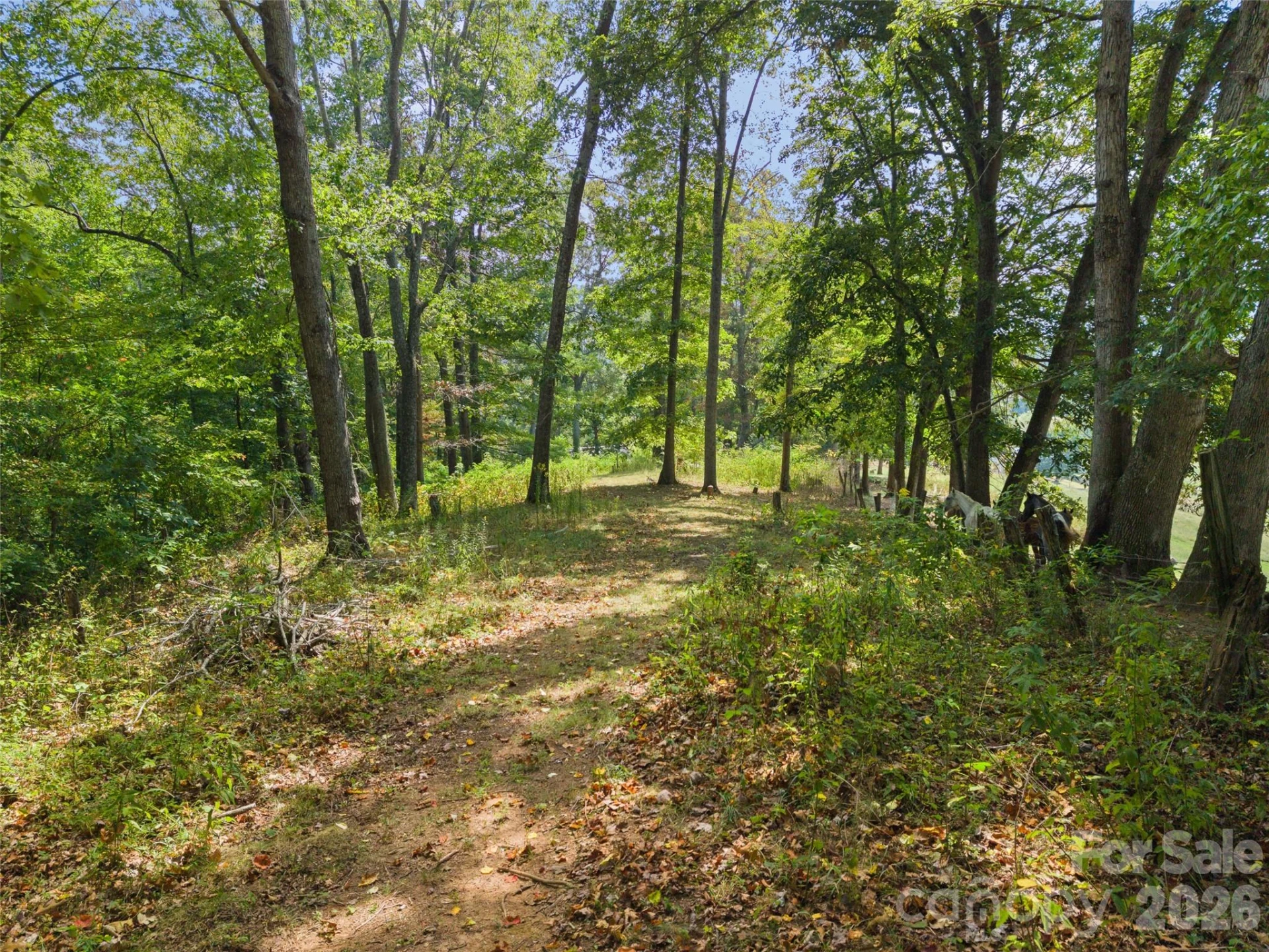 641 Scruggs Circle - Photo 42