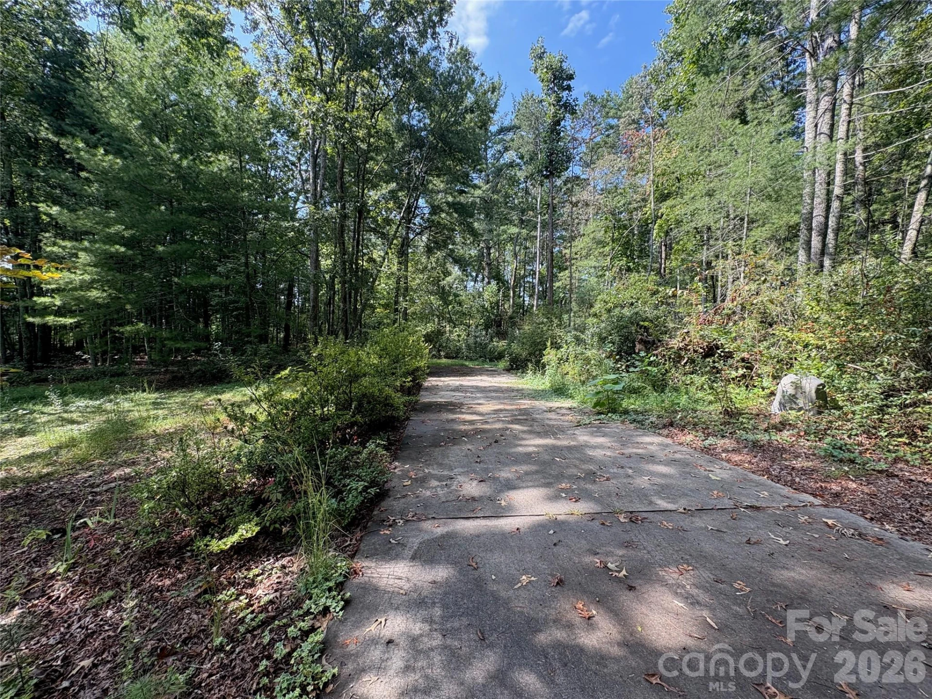 502 Pace Road - Photo 34