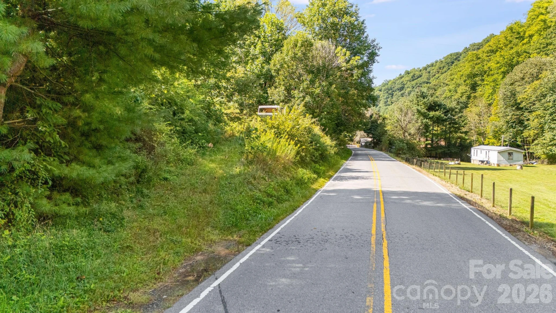 0 Big Laurel Road - Photo 3