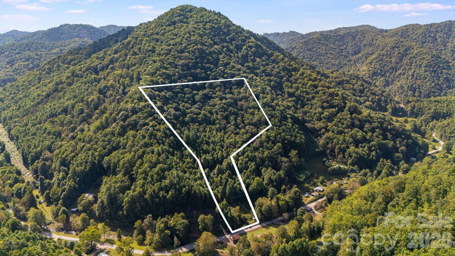 0 Big Laurel Road - Photo 6