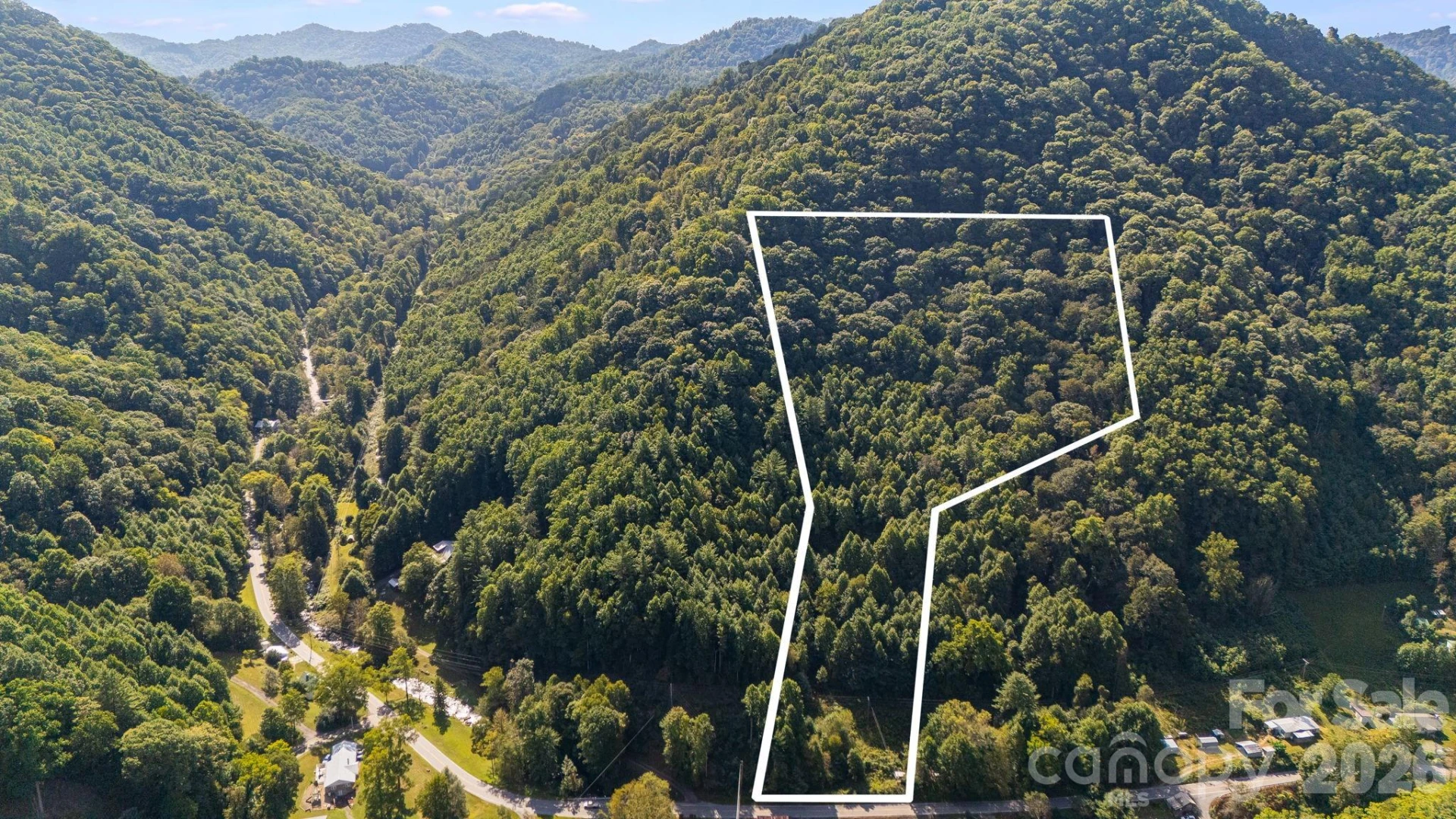 0 Big Laurel Road - Photo 8