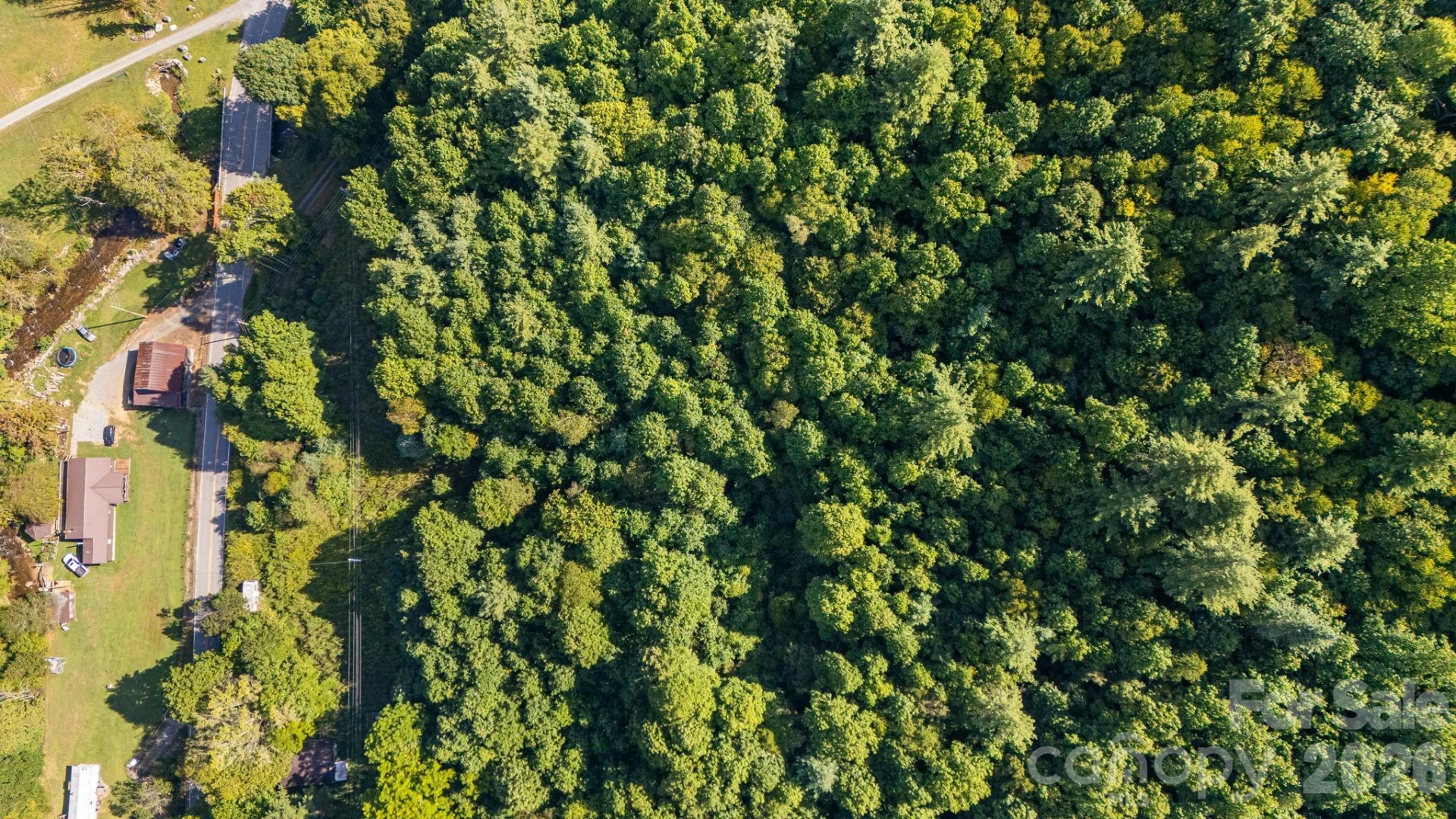 0 Big Laurel Road - Photo 15