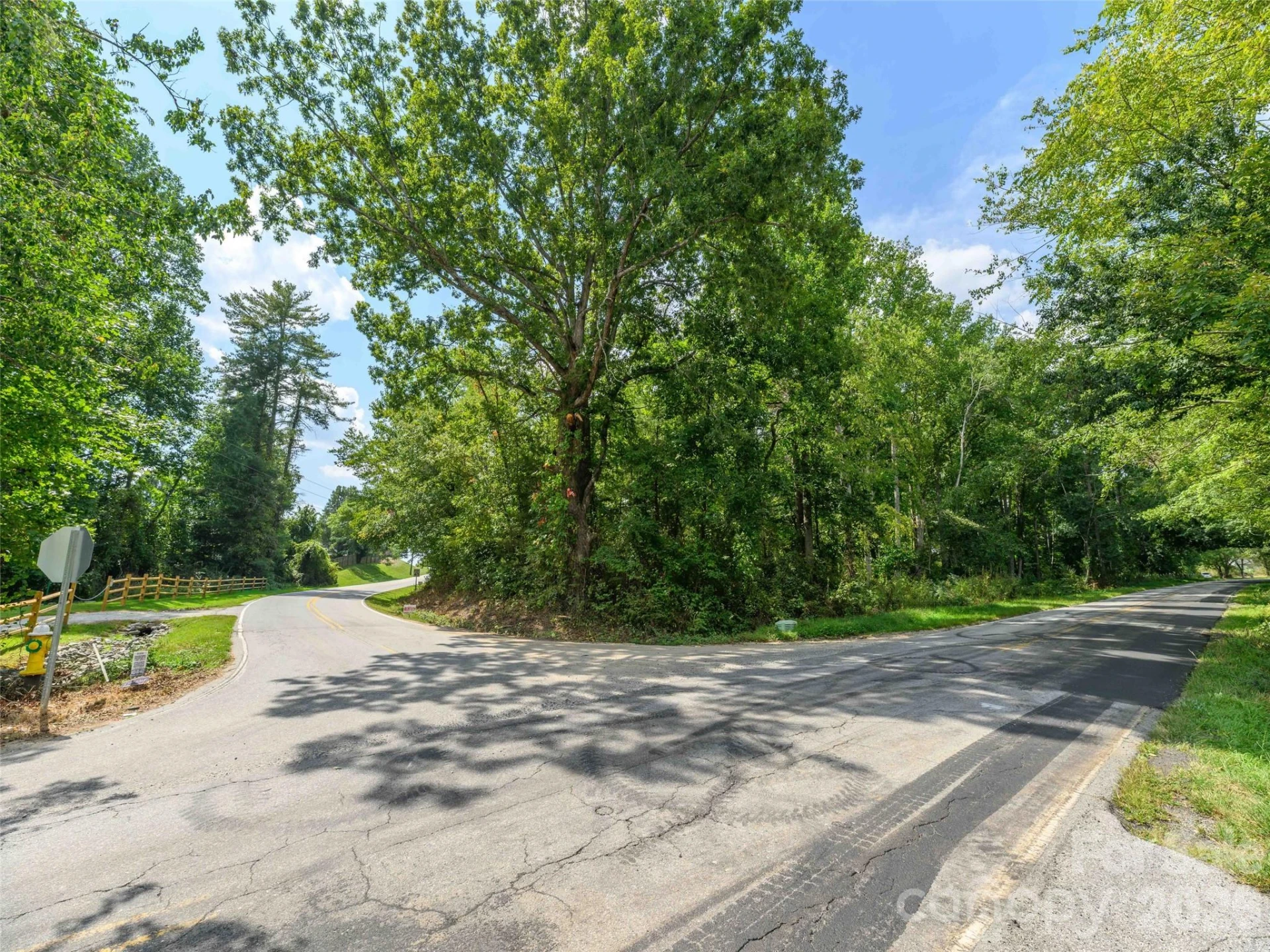 0 Hoopers Creek Road - Photo 2