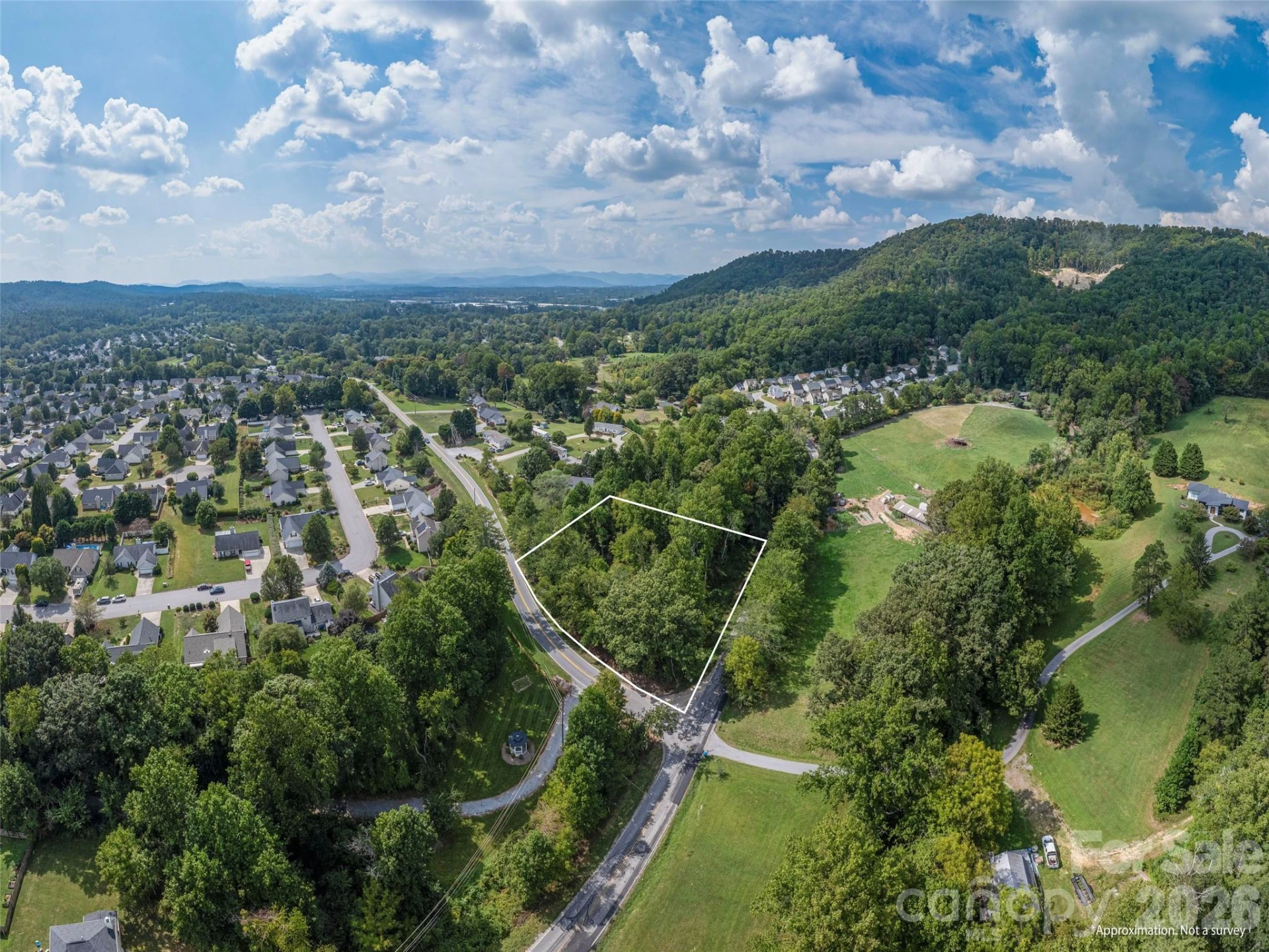 0 Hoopers Creek Road - Photo 4