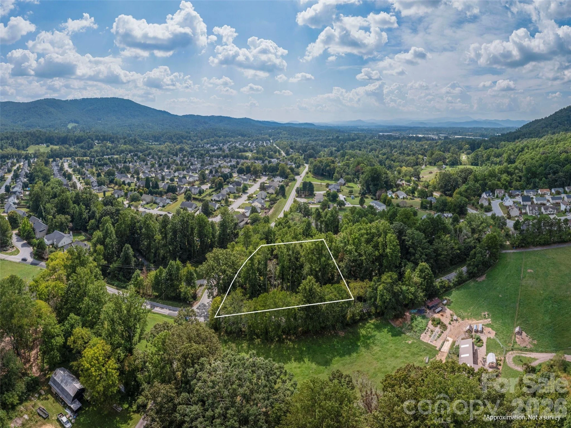 0 Hoopers Creek Road - Photo 5