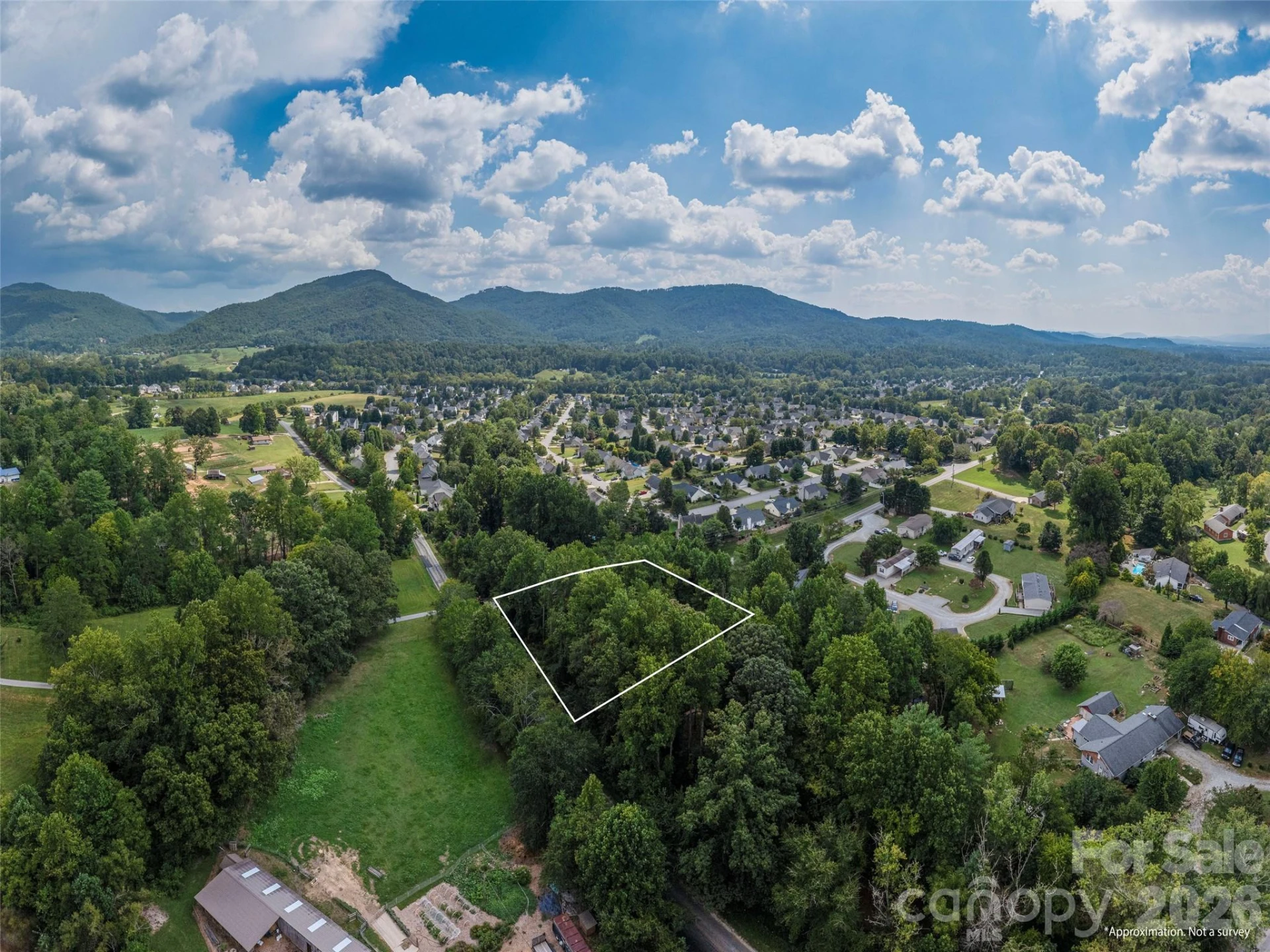 0 Hoopers Creek Road - Photo 6