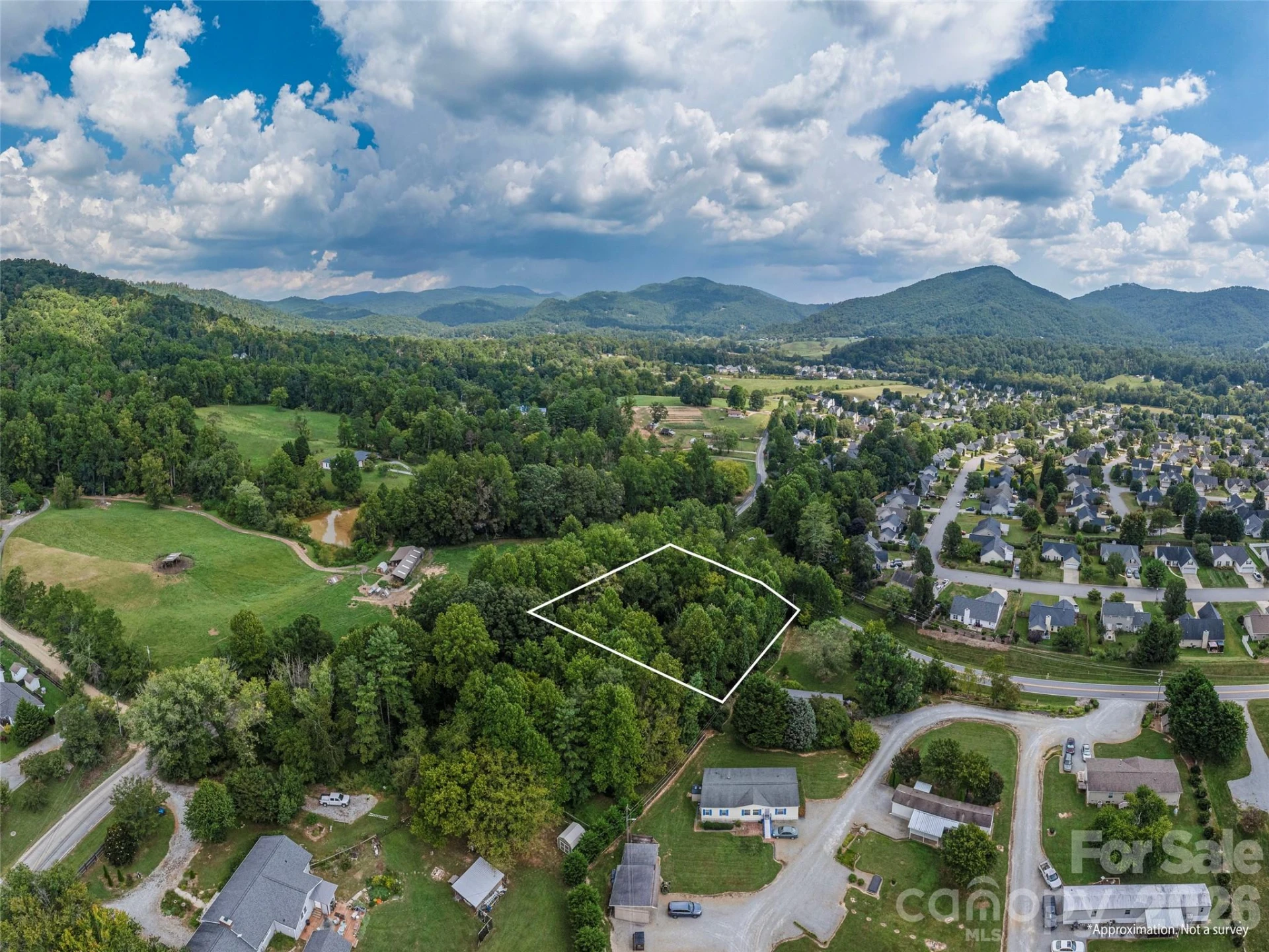 0 Hoopers Creek Road - Photo 7
